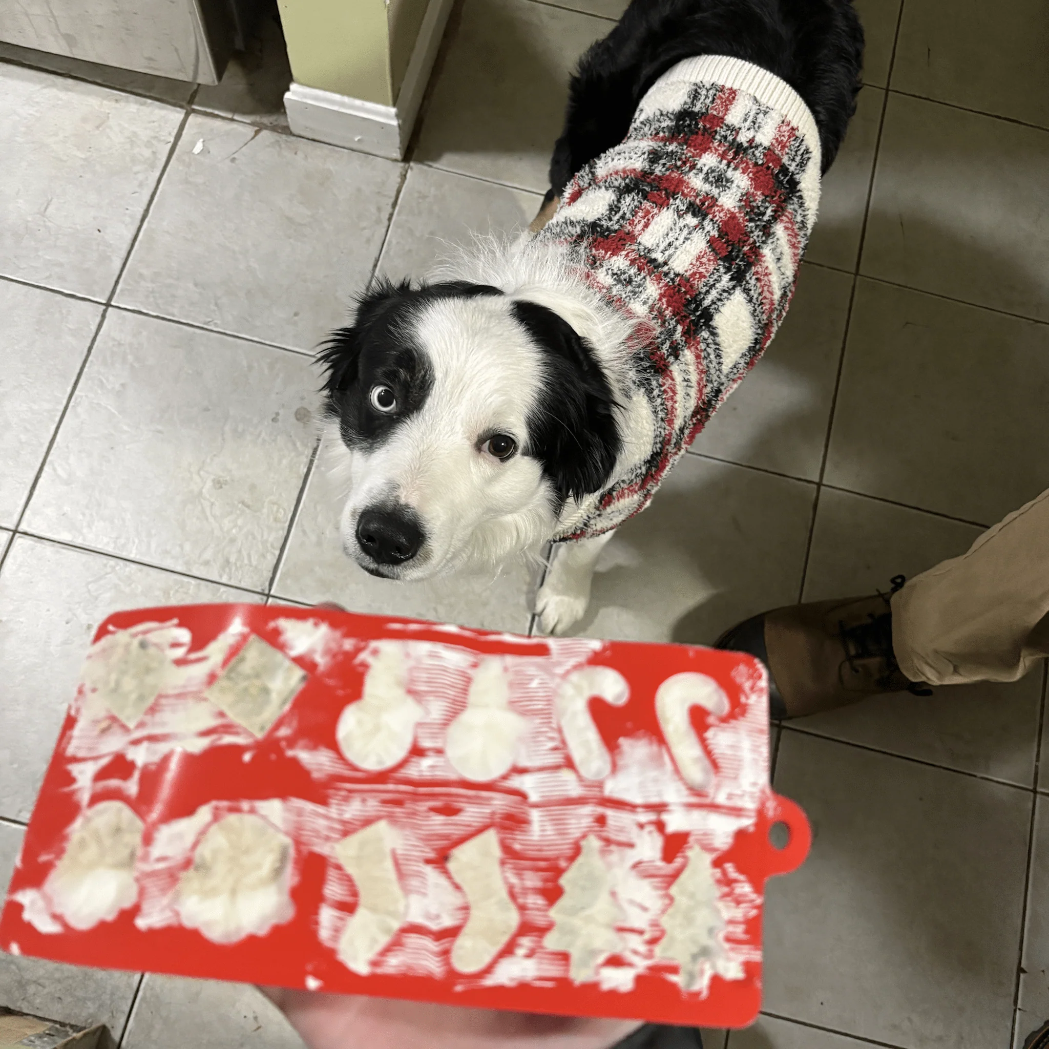 Pet Treat Molds - Image 27