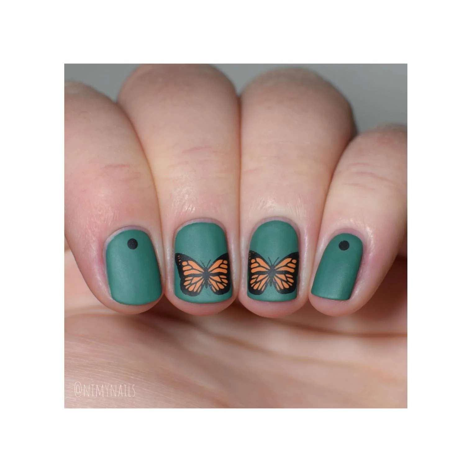 Pining For Junipers - Stamping Polish - Image 6