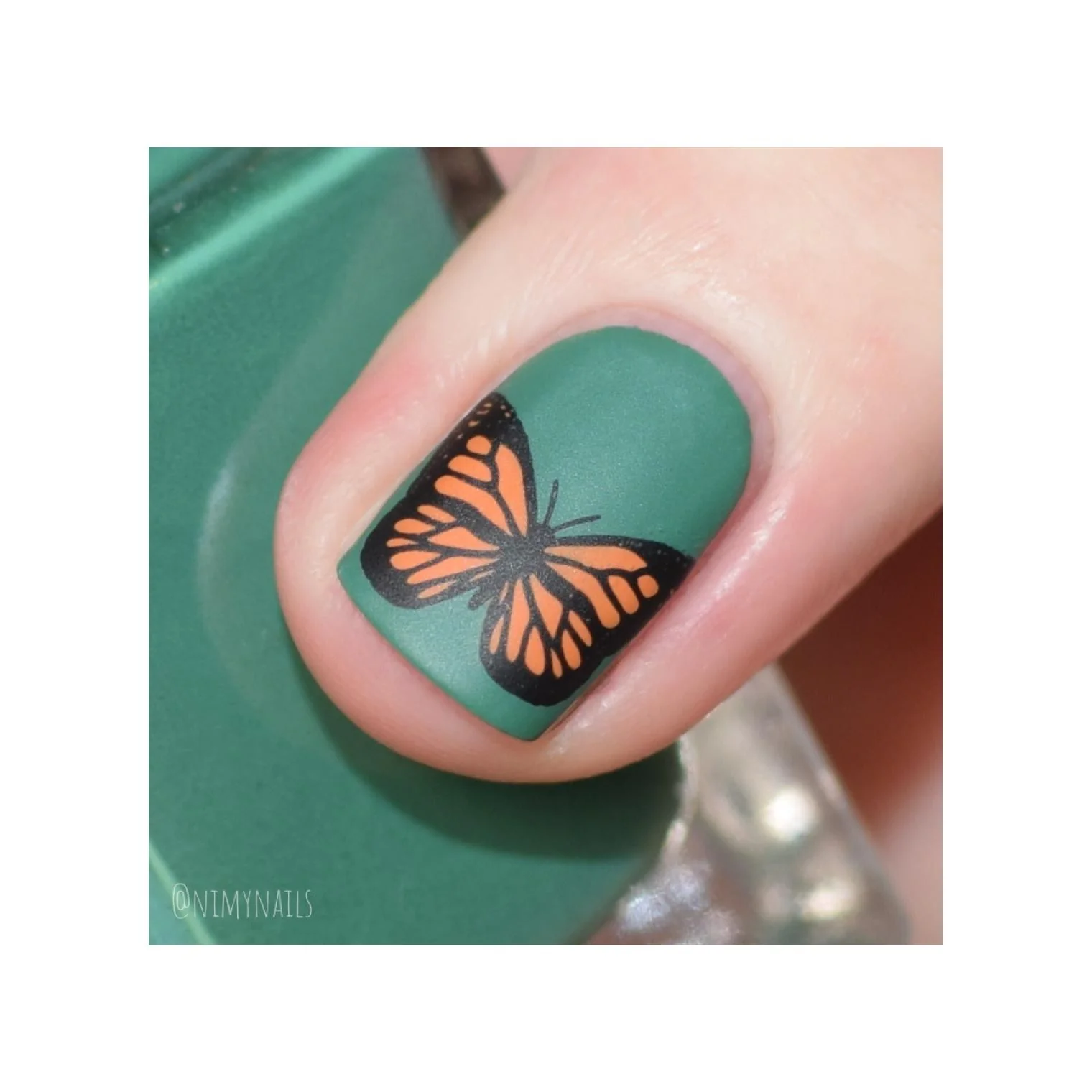 Pining For Junipers - Stamping Polish - Image 7