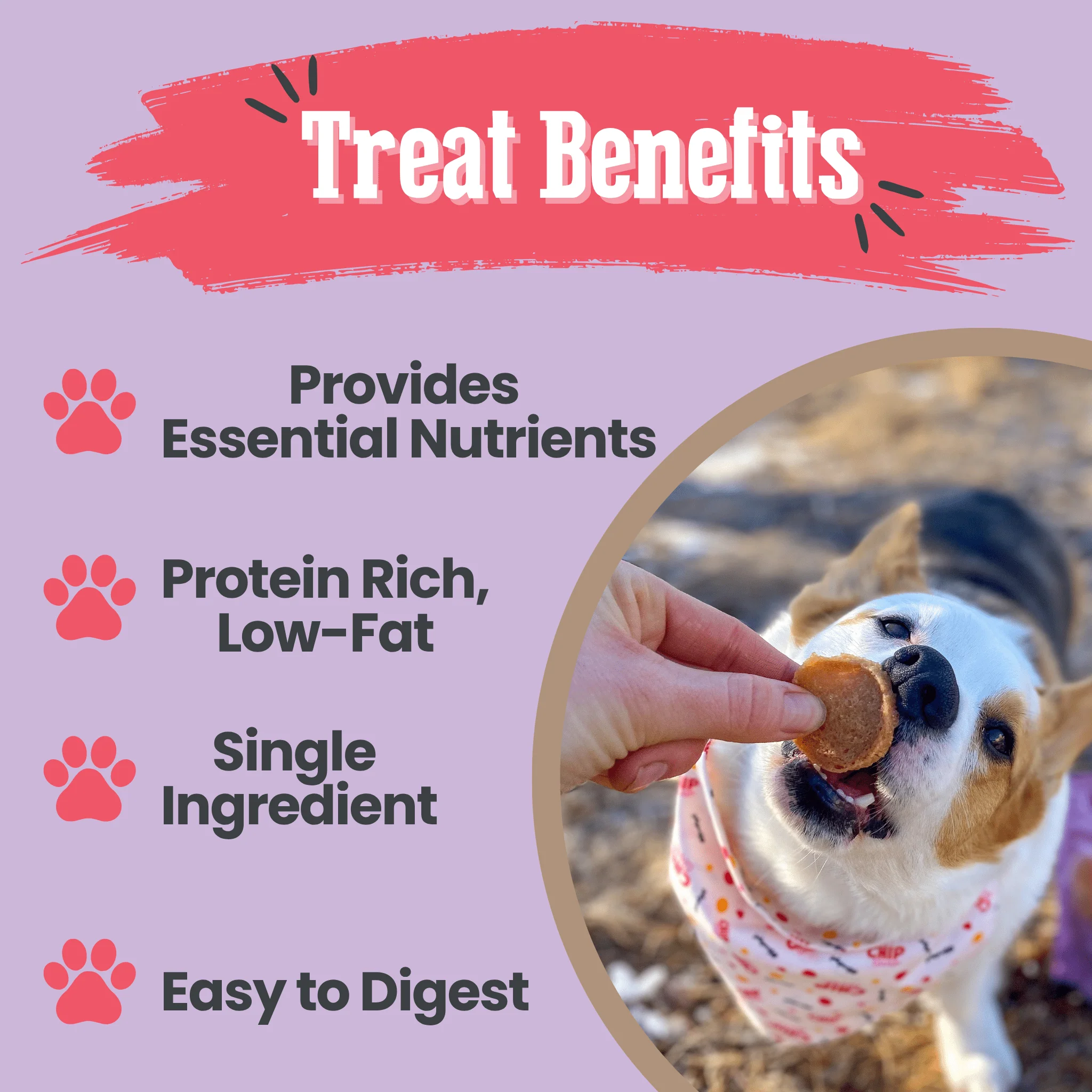 Puppy Love Dog Treat Duo | Poultry Chip Variety Pack - Image 13