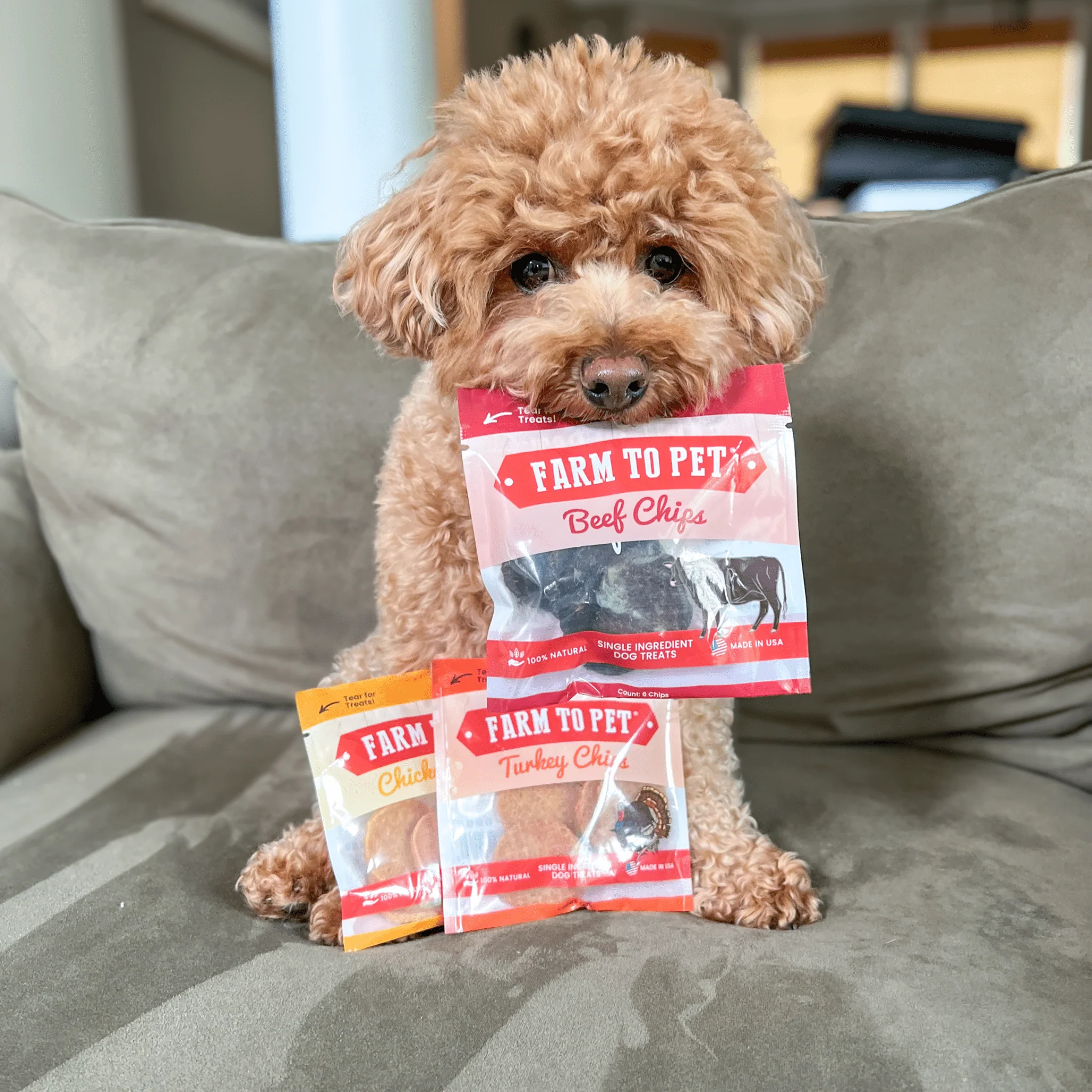 Puppy Packs 'n Snacks Dog Treat Starter Pack | Single-Ingredient Training Treats - Image 18
