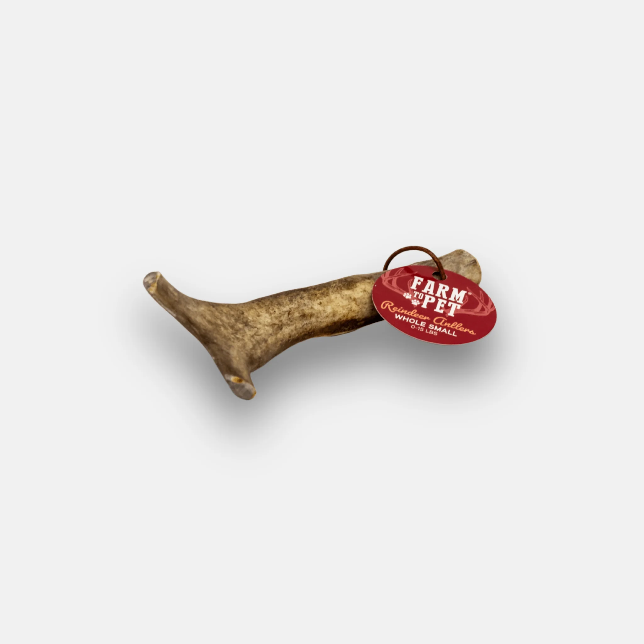 Reindeer Antler Dog Chews | Organic Chews for Dogs - Image 10