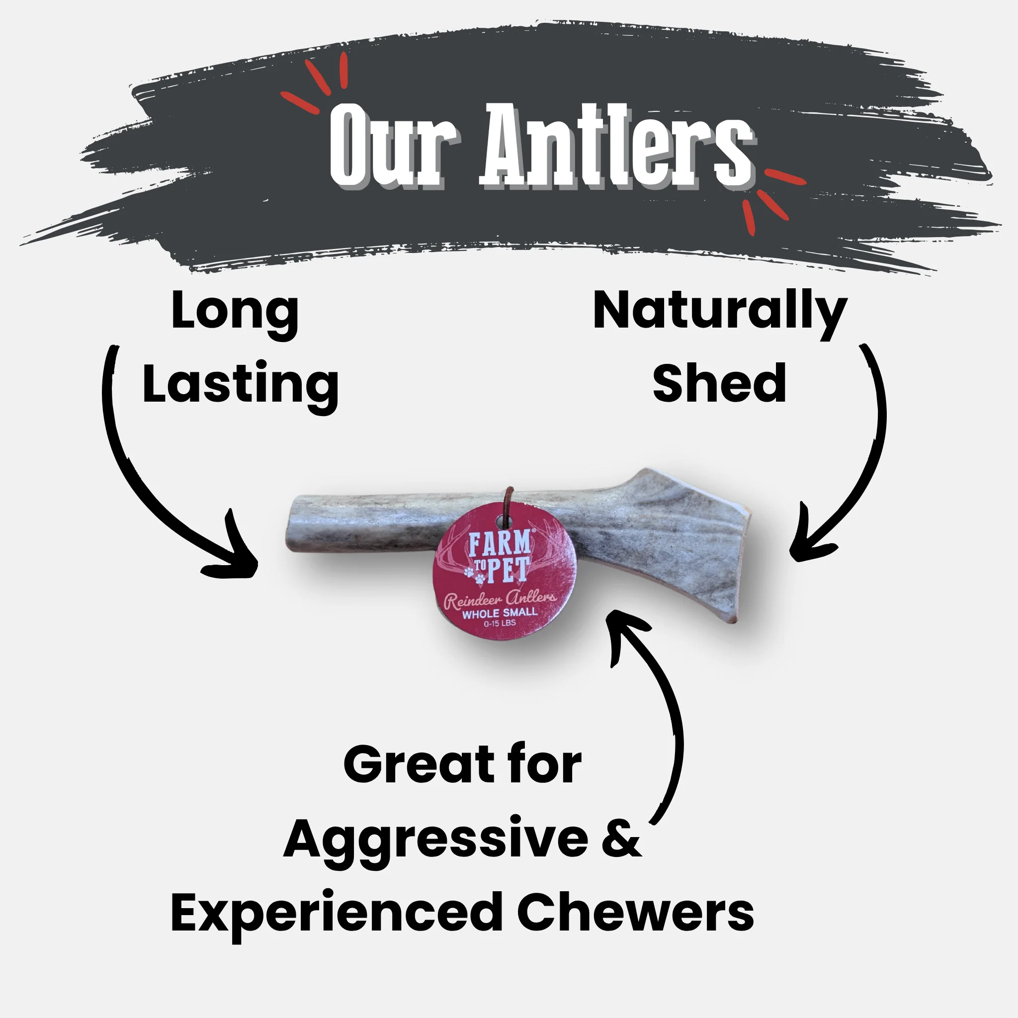 Reindeer Antler Dog Chews | Organic Chews for Dogs - Image 11