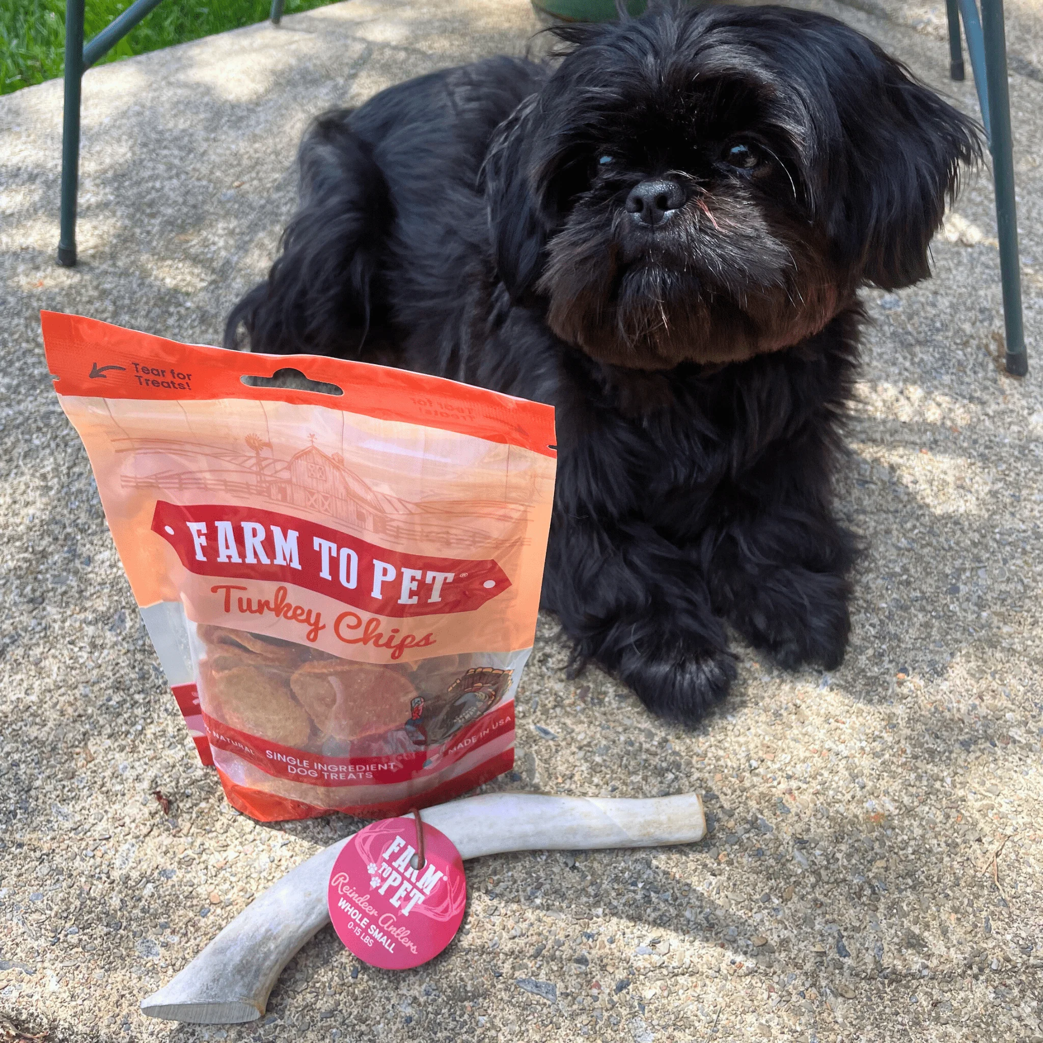 Reindeer Antler Dog Chews | Organic Chews for Dogs - Image 14