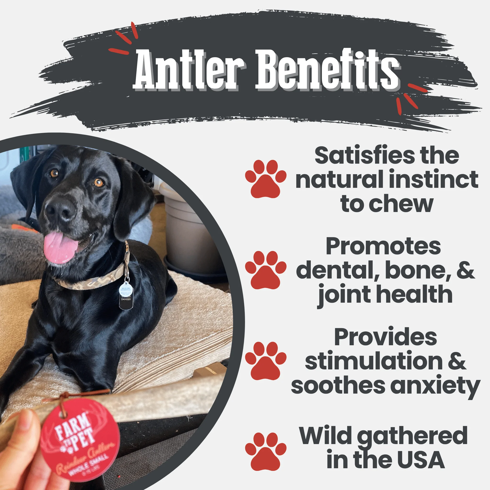Reindeer Antler Dog Chews | Organic Chews for Dogs - Image 15
