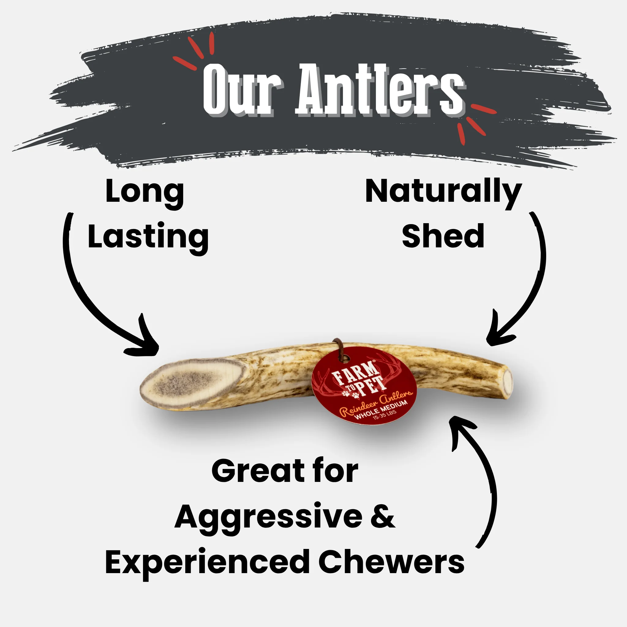 Reindeer Antler Dog Chews | Organic Chews for Dogs - Image 25