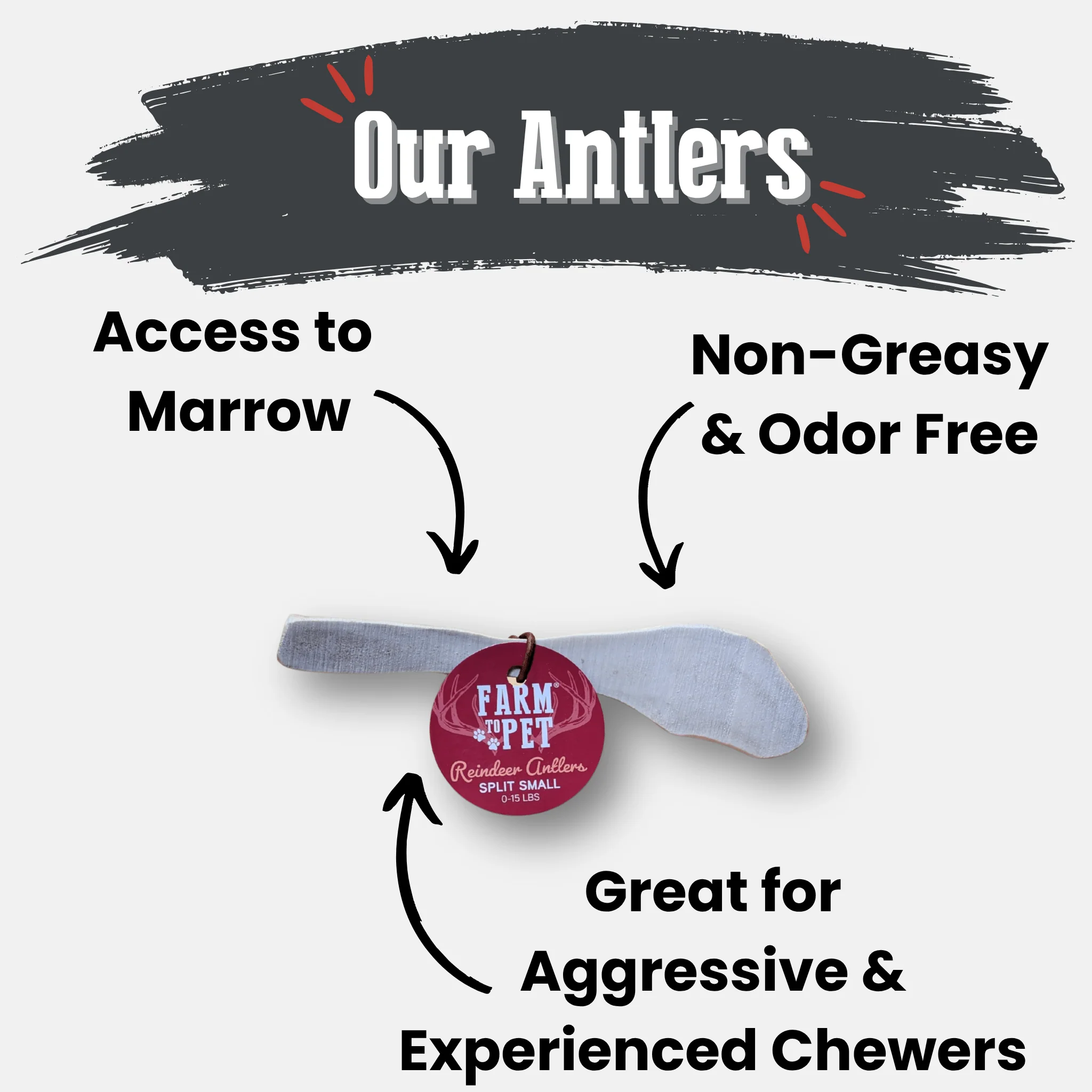 Reindeer Antler Dog Chews | Organic Chews for Dogs - Image 4
