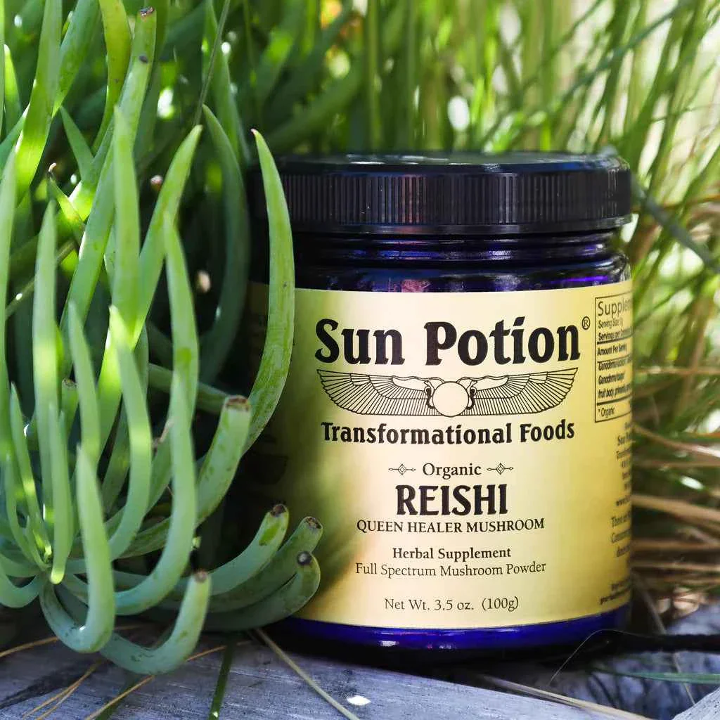 Reishi Mushroom Powder (Organic) - Image 2
