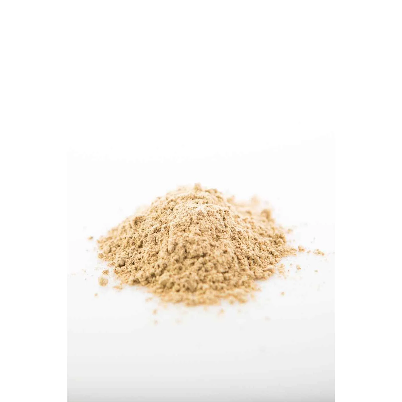Reishi Mushroom Powder (Organic) - Image 5