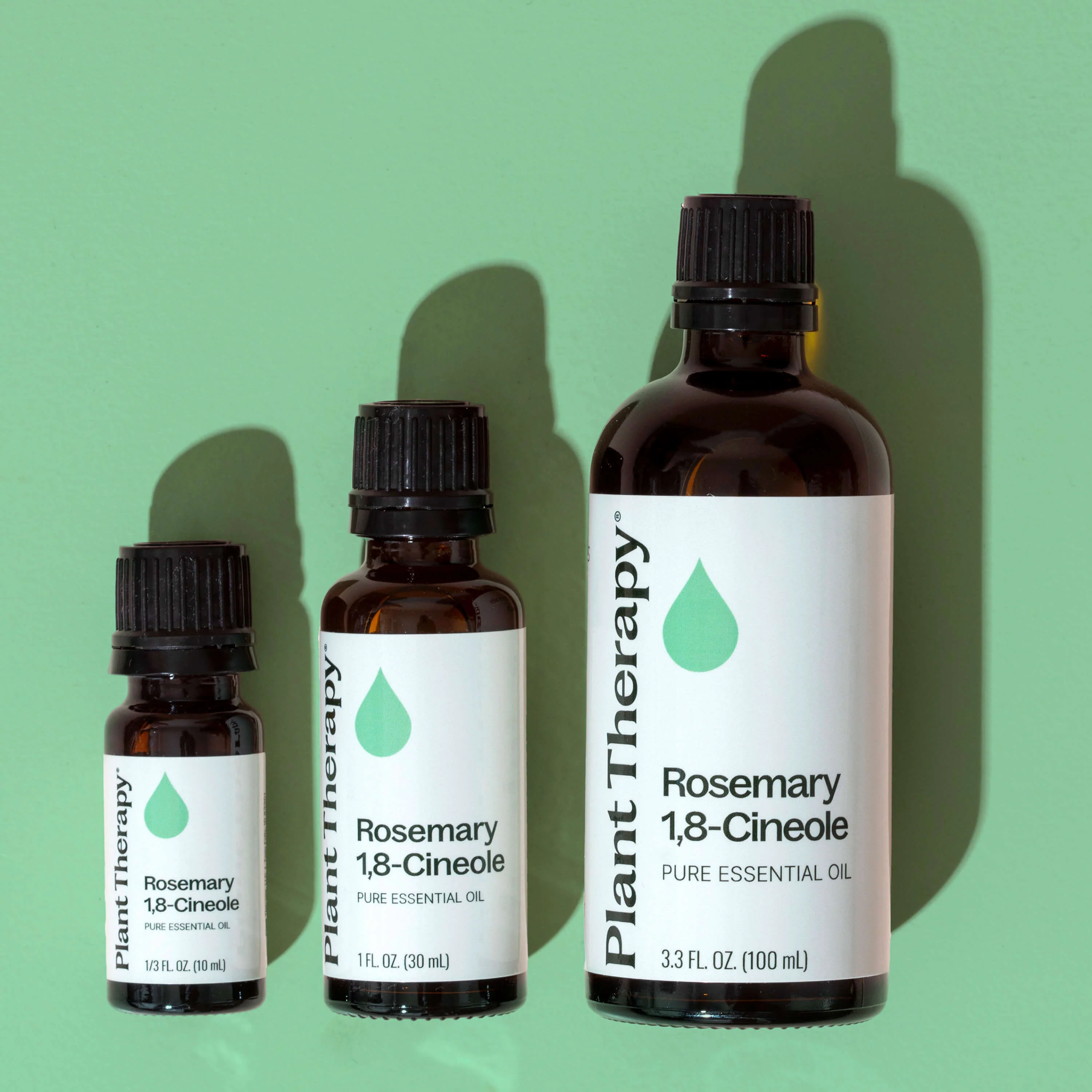 Rosemary 1,8-Cineole Essential Oil - Image 7