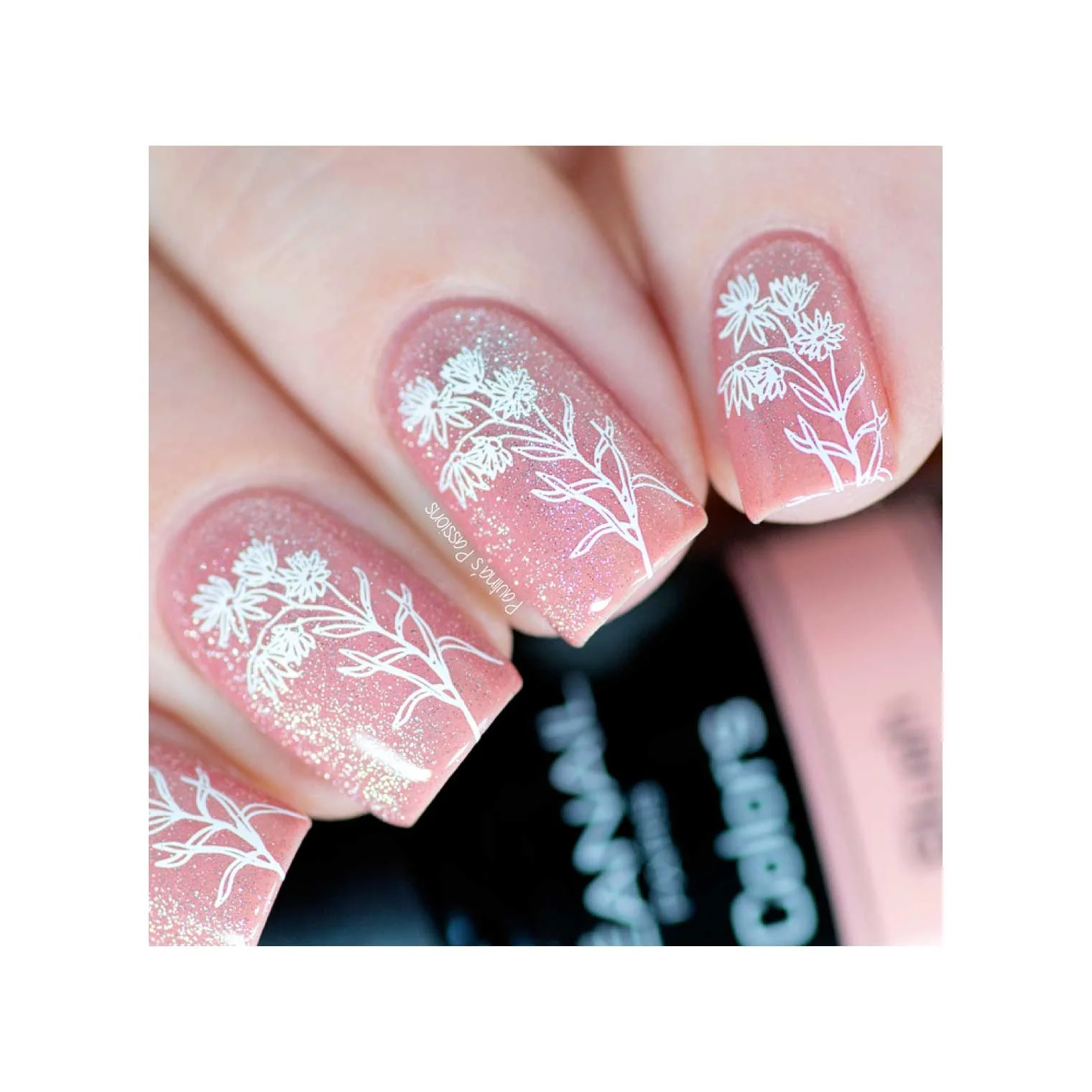 Secret Garden-02 - Image 18