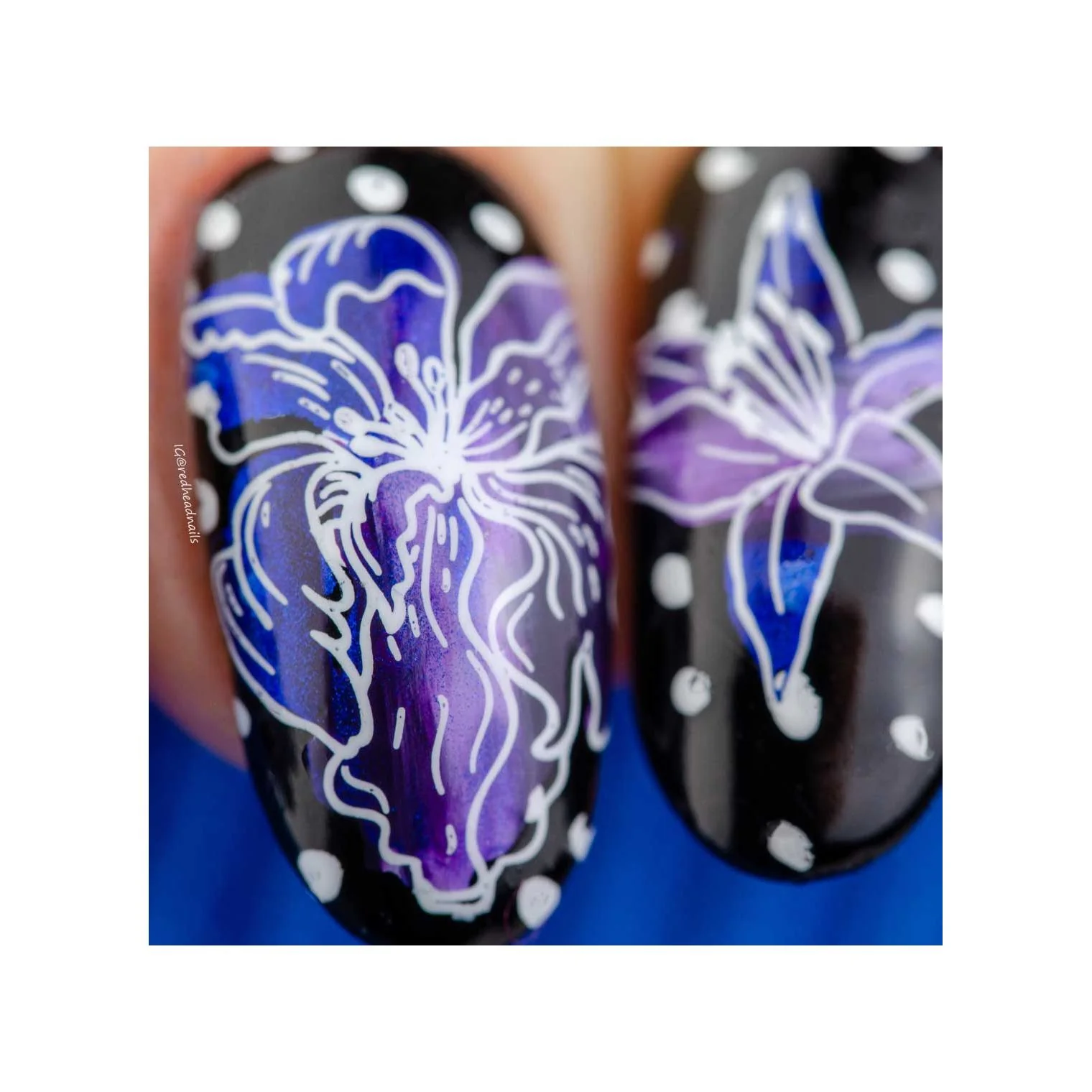Secret Garden-02 - Image 19