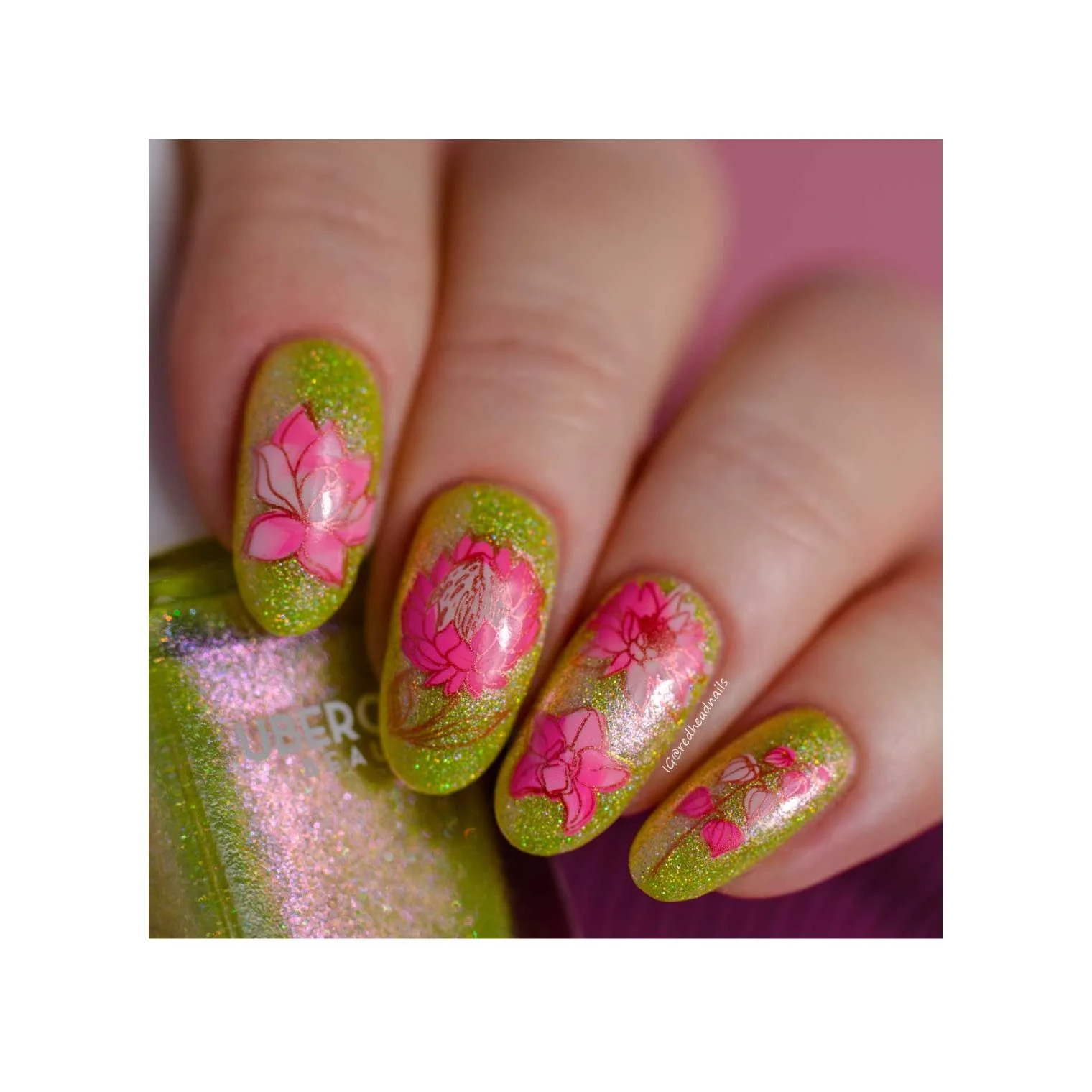 Secret Garden-02 - Image 7