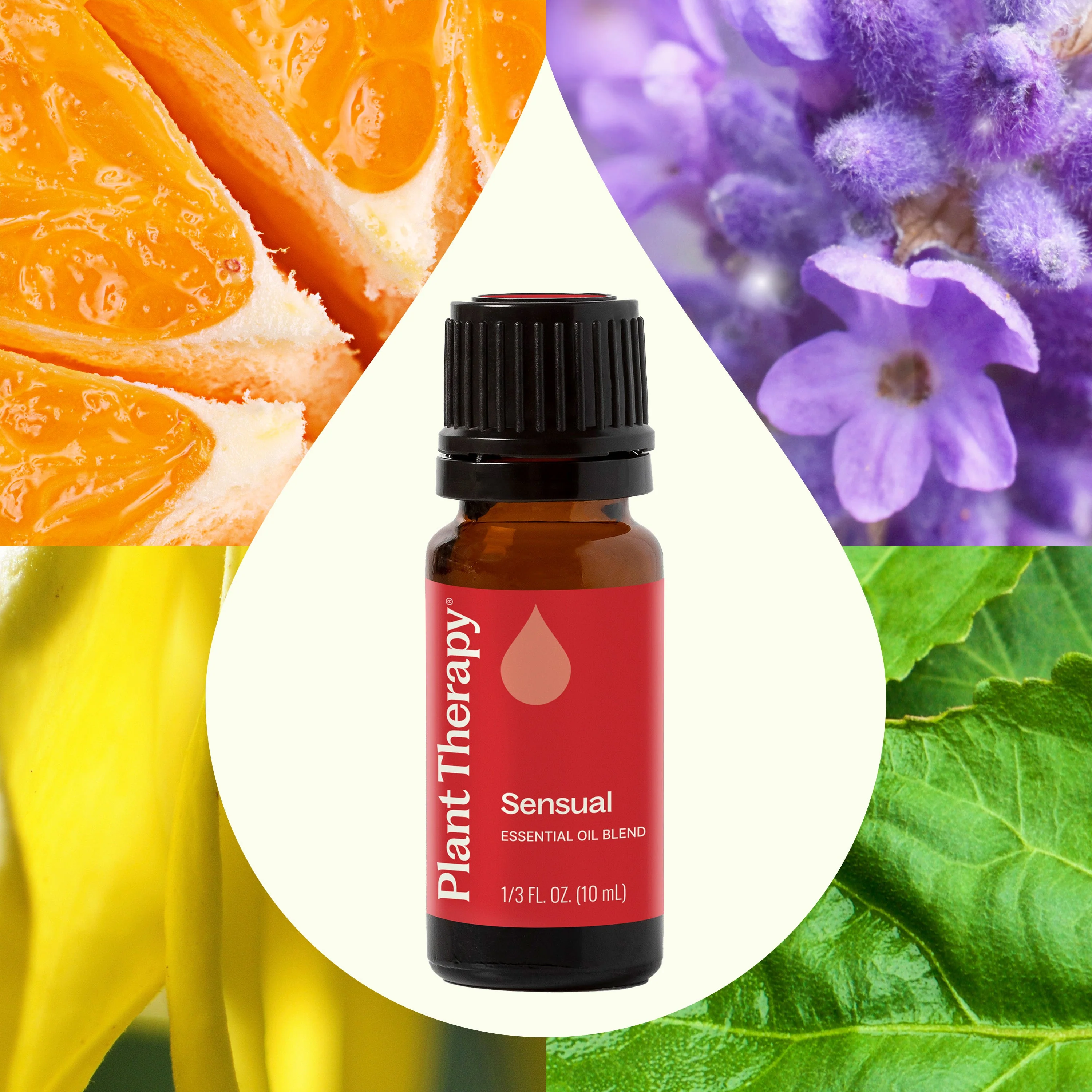 Sensual Essential Oil Blend - Image 2