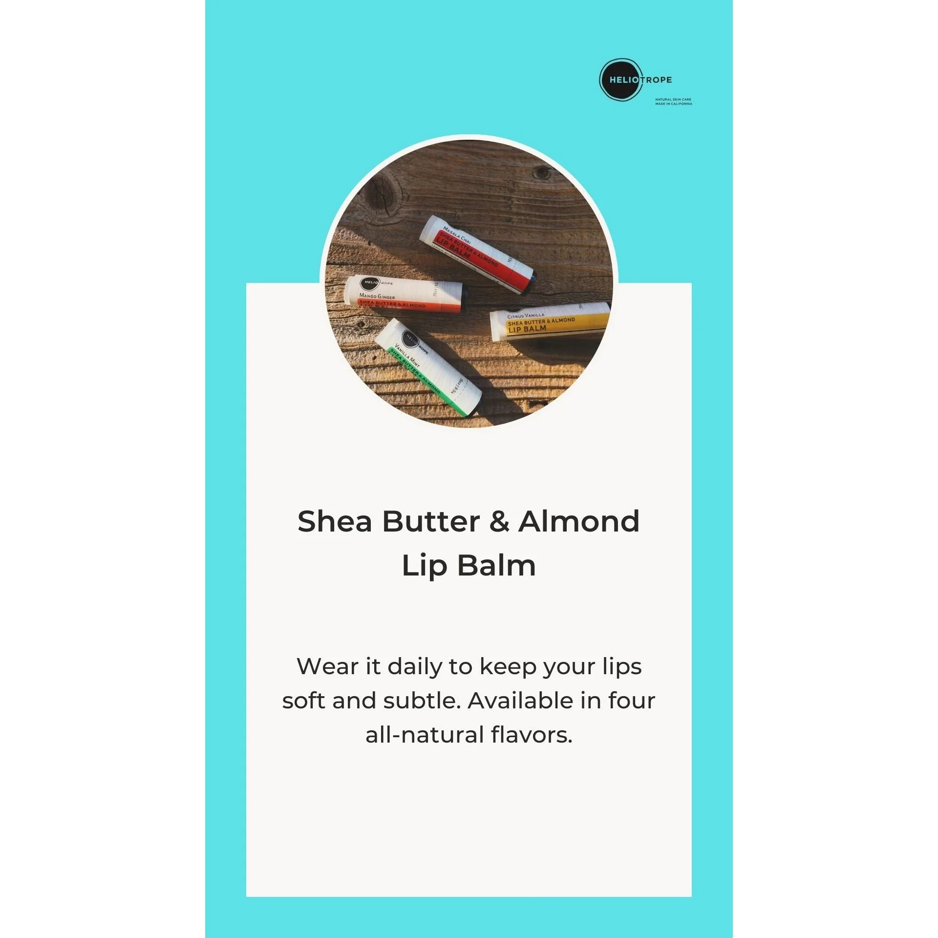 Shea Butter & Almond Lip Balm - Image 2
