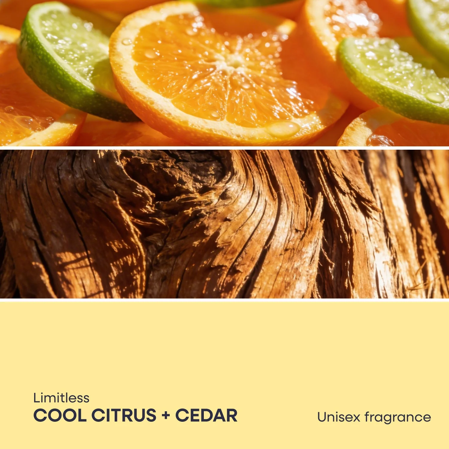 Signature Starter Kit - Image 8