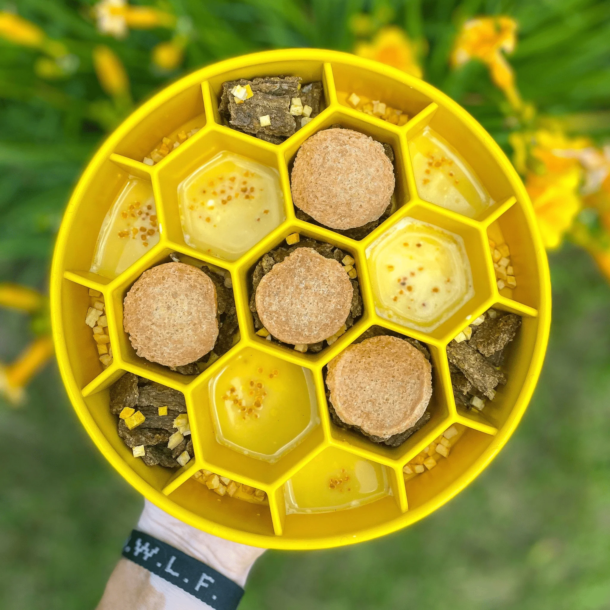 Slow Feeder Dog Bowls - Image 10