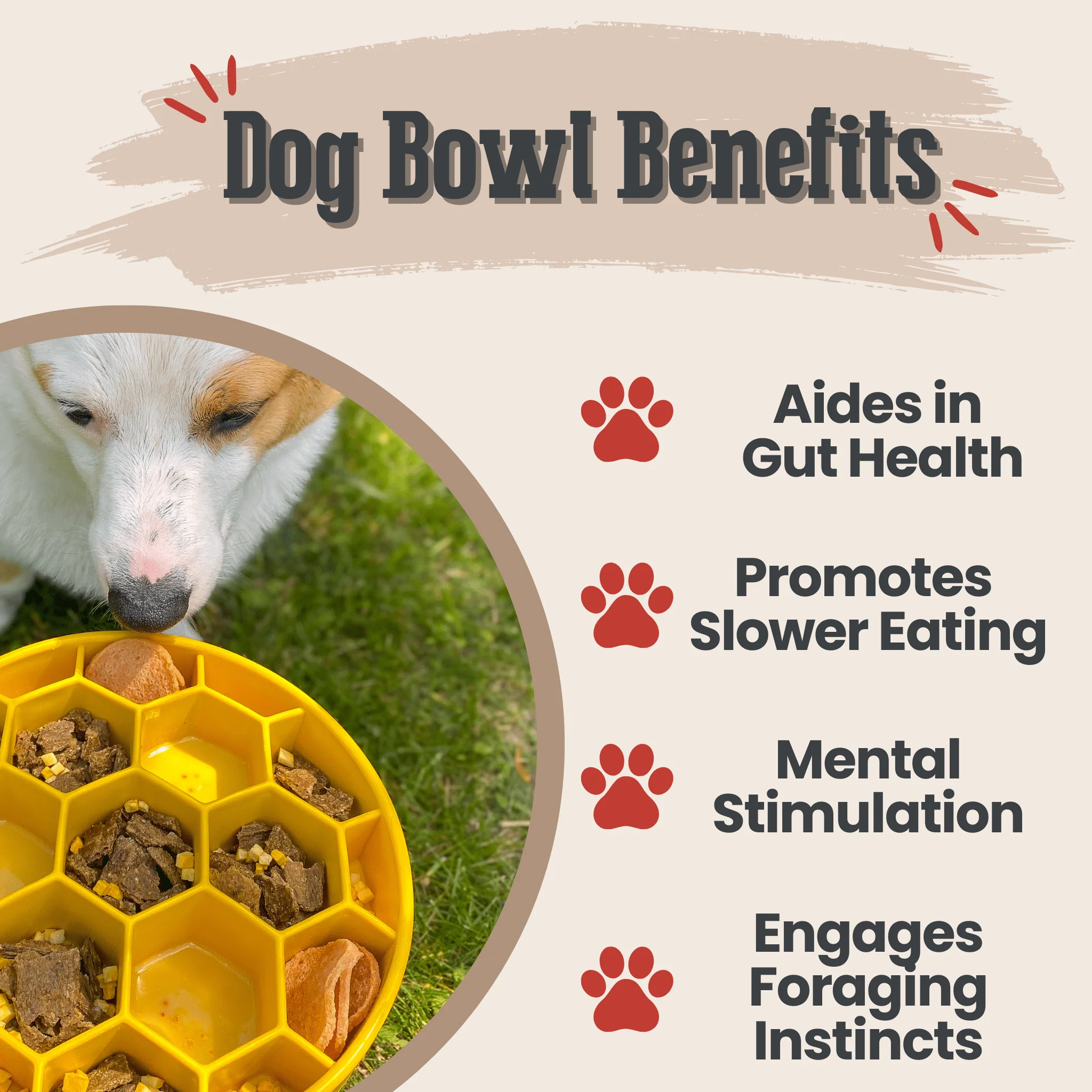 Slow Feeder Dog Bowls - Image 11