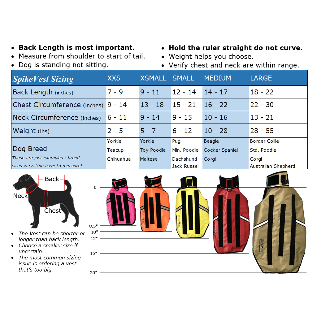 SpikeVest - Image 3
