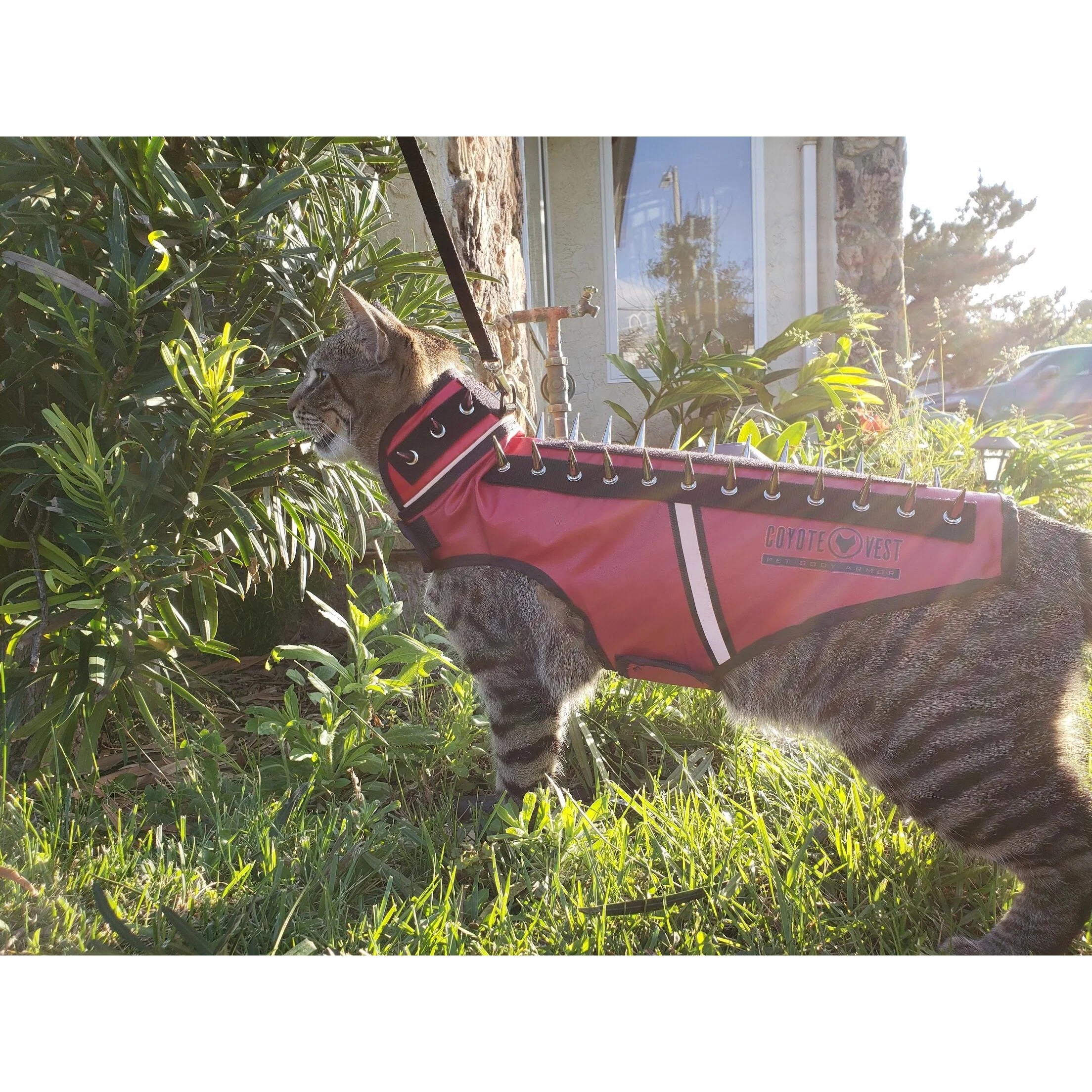 SpikeVest for Cats - Image 2