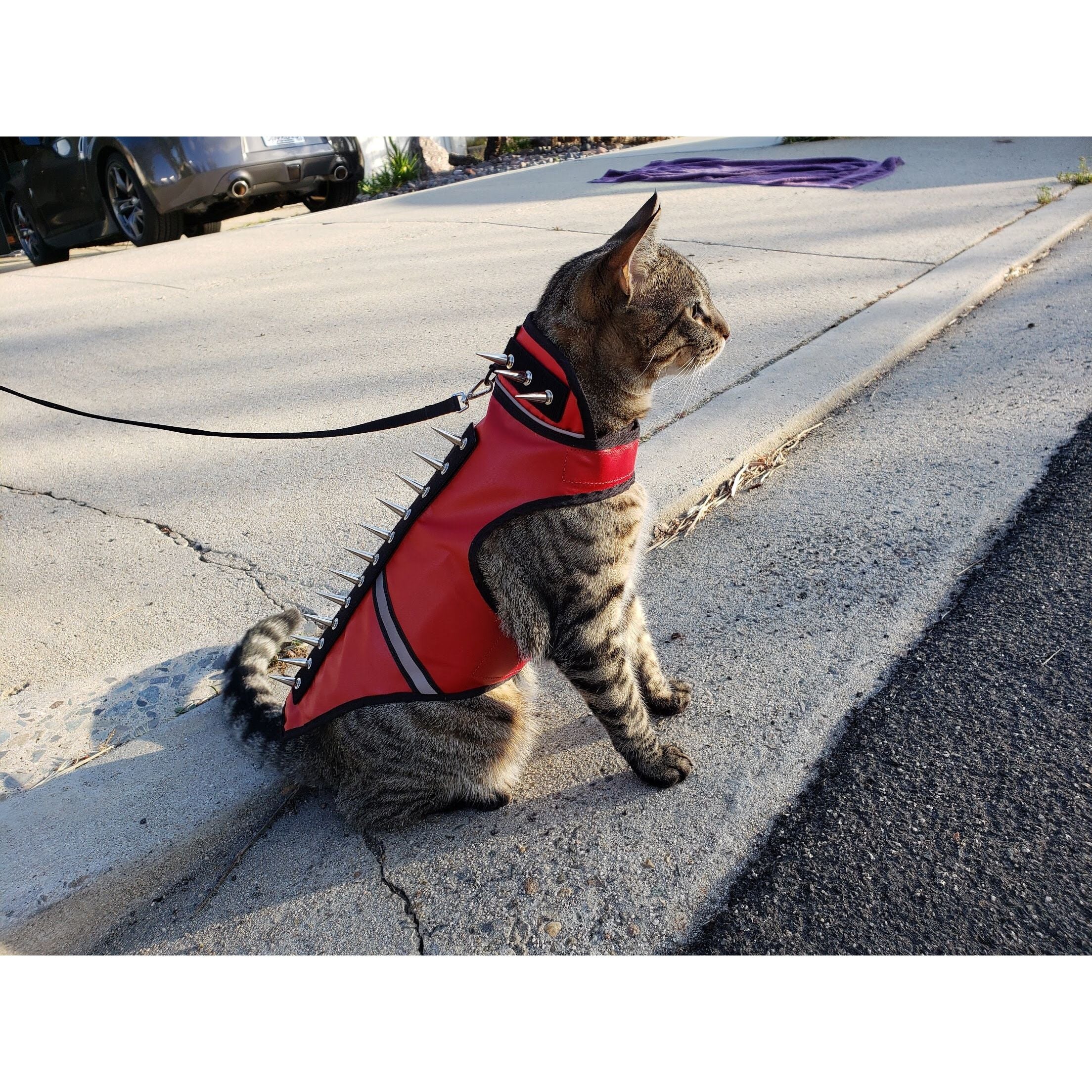SpikeVest for Cats - Image 3