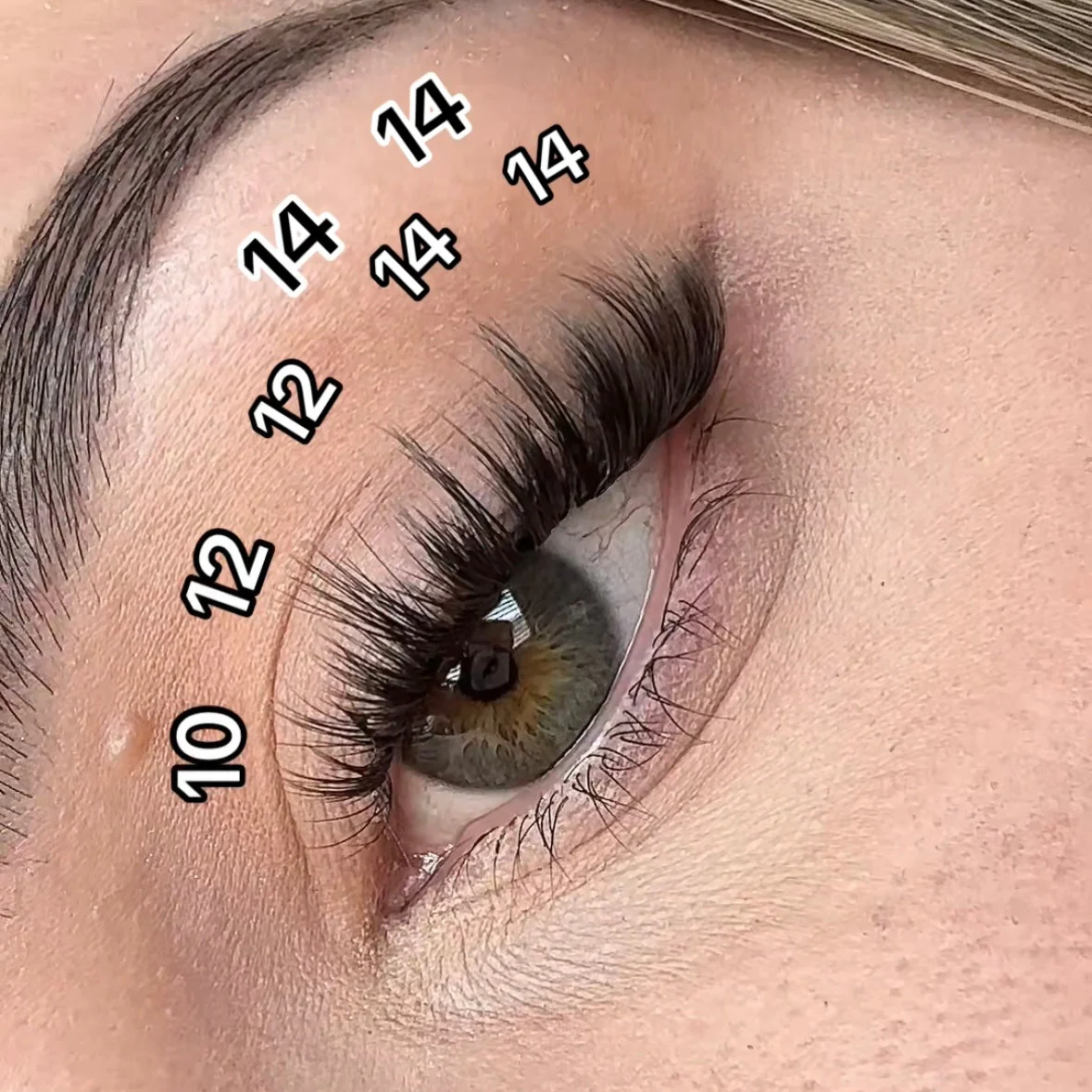 Starry Eyes - Image 6
