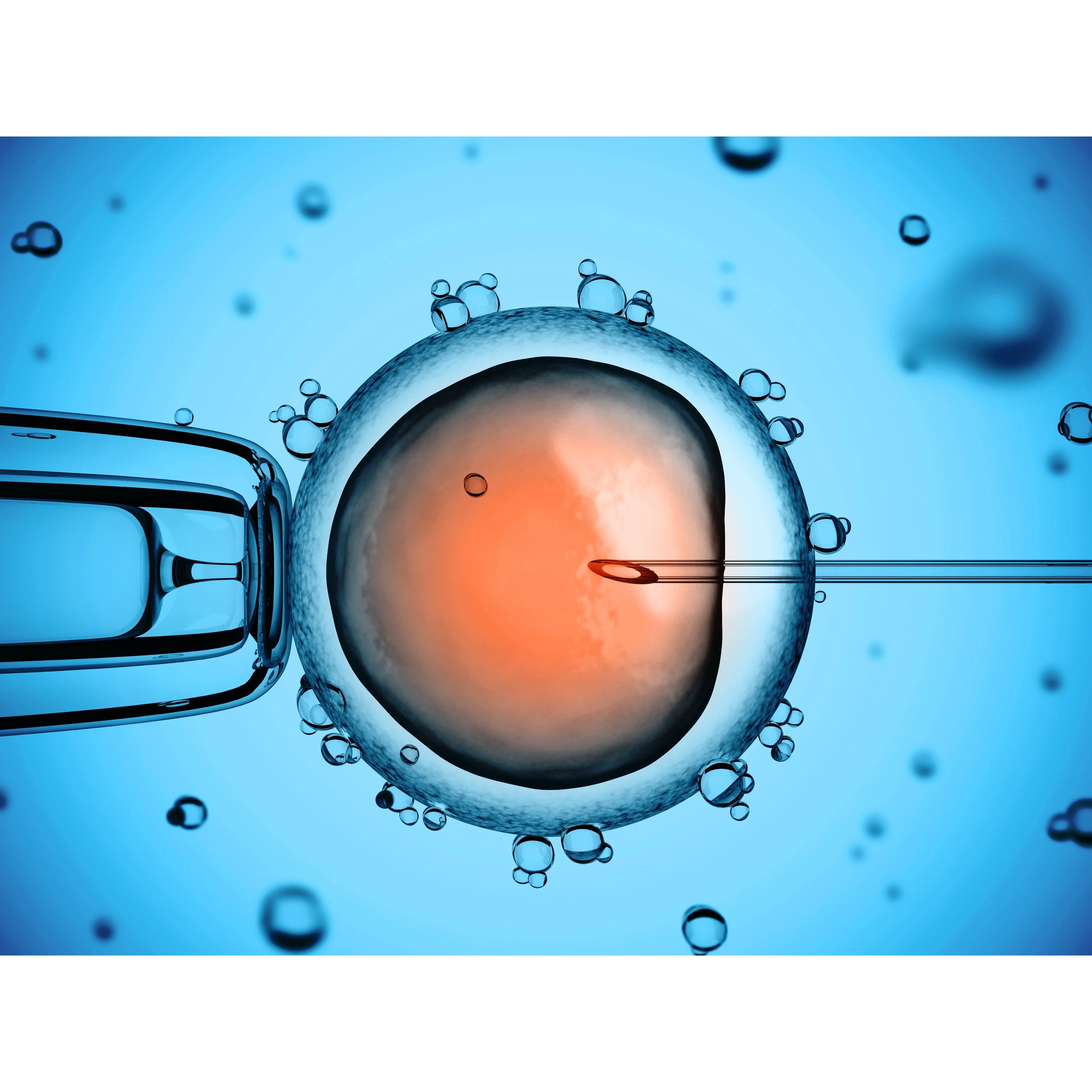 Stem Cell Tenser (Non Frozen) - Image 6