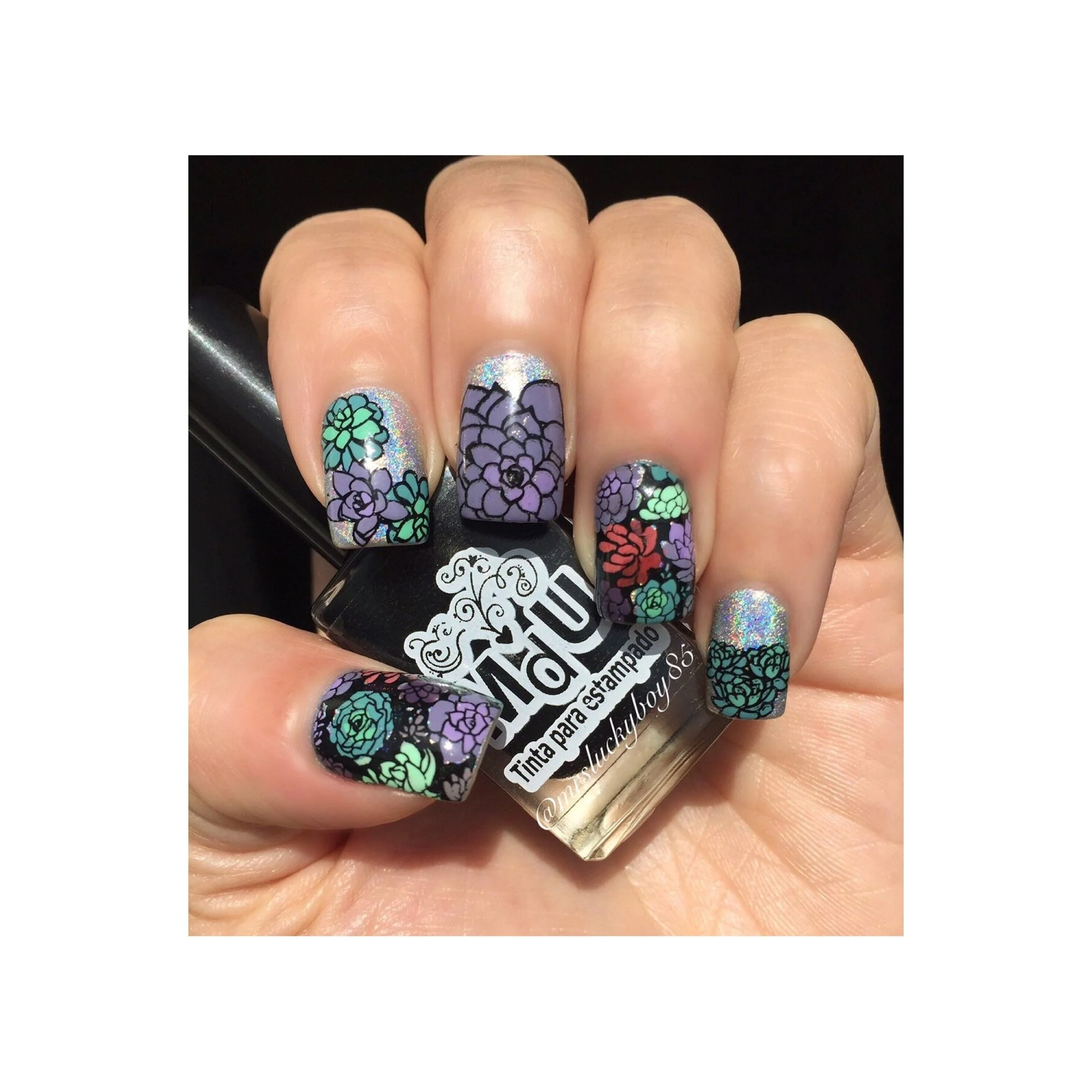 Succulents - Image 2