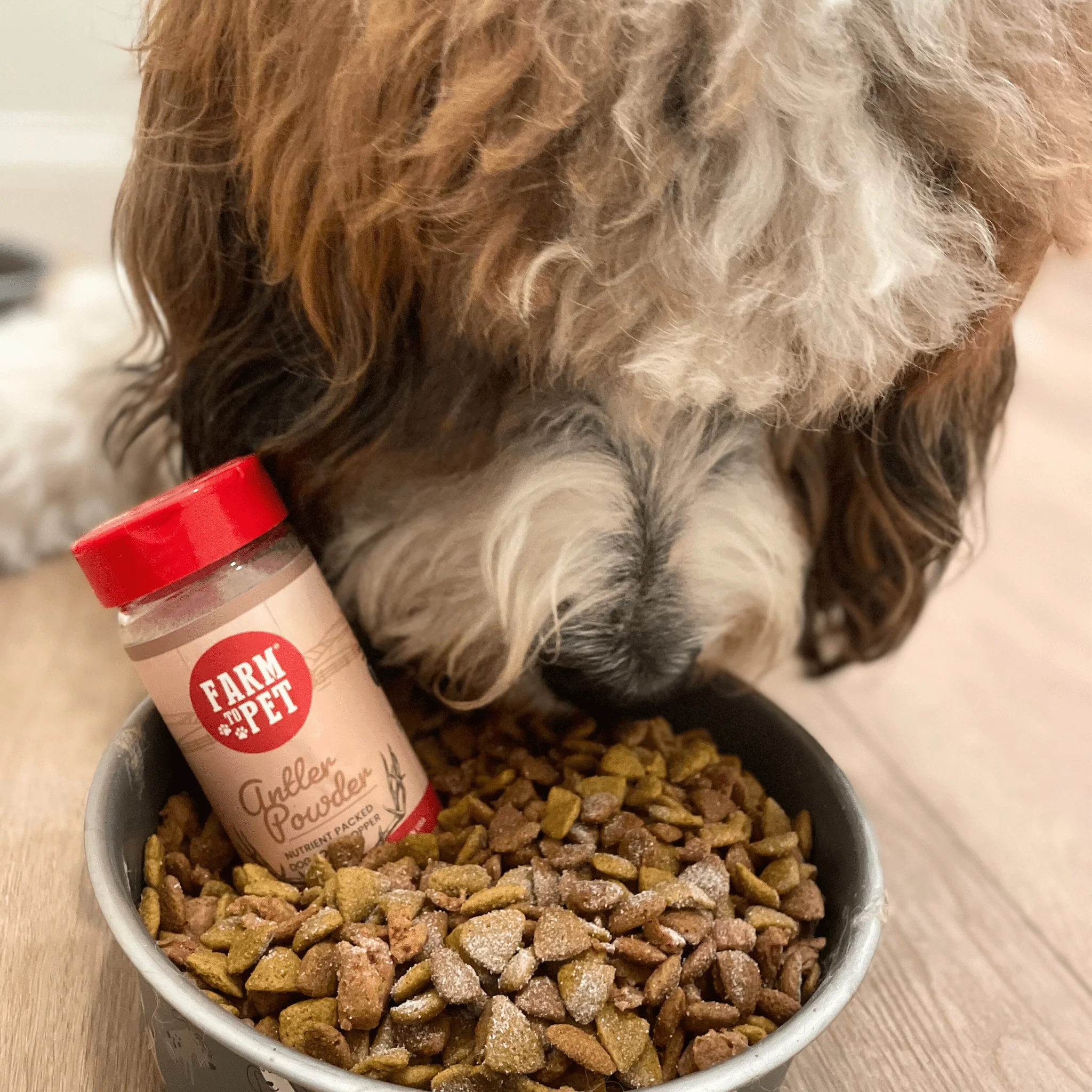 Treat Topper Antler Powder Dog Food Topper | Nutritional Supplement for Dogs and Cats - Image 4