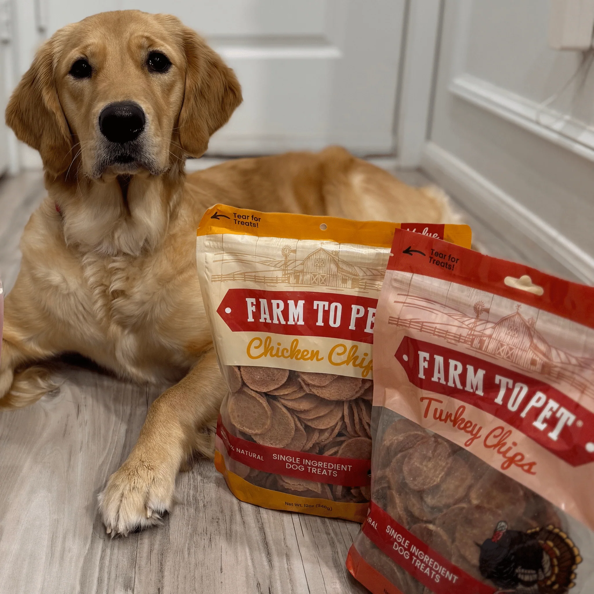 Turkey & Chicken Chip Dog Treat Duo | Single-Ingredient Poultry Treats for Dogs - Image 10