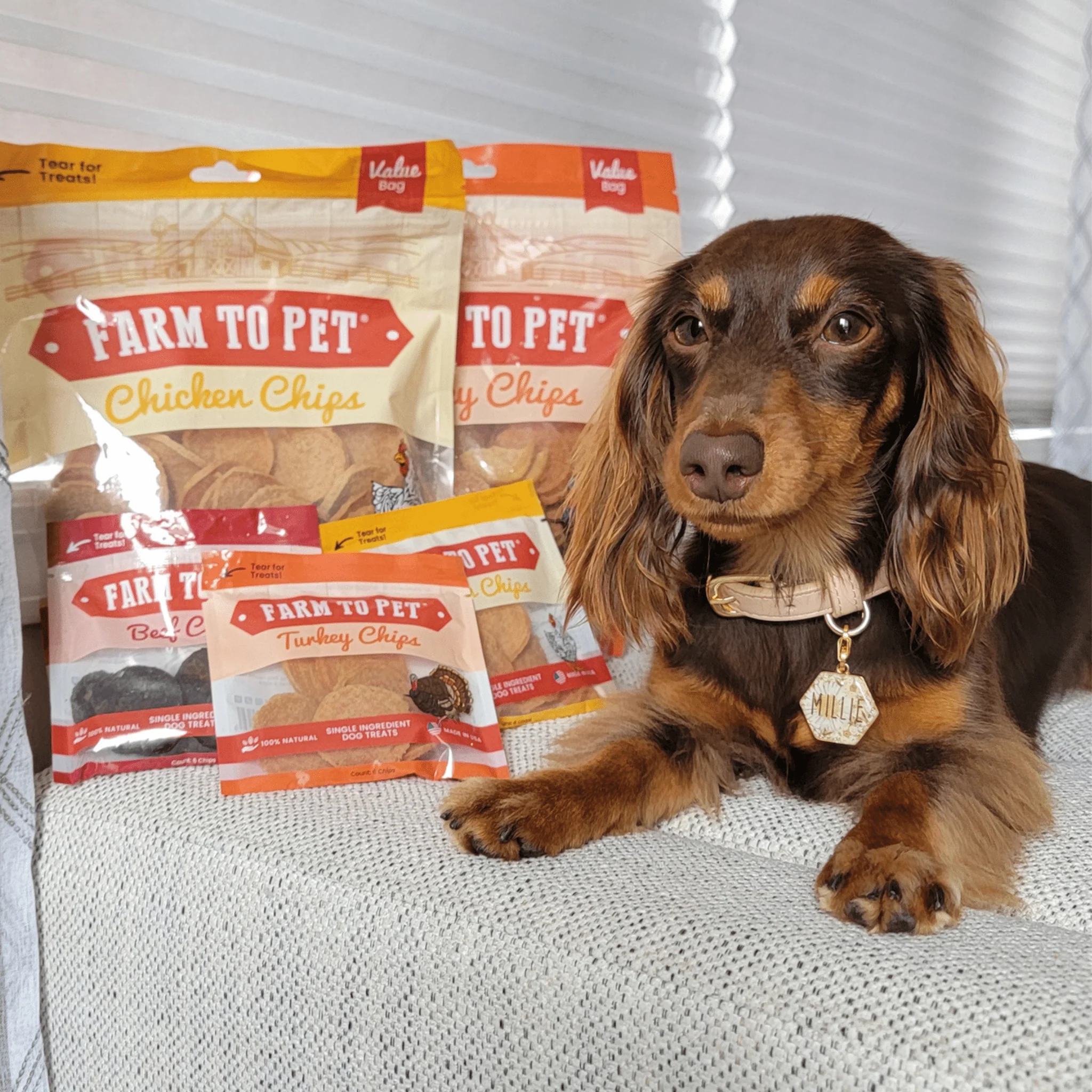 Turkey & Chicken Chip Dog Treat Duo | Single-Ingredient Poultry Treats for Dogs - Image 11