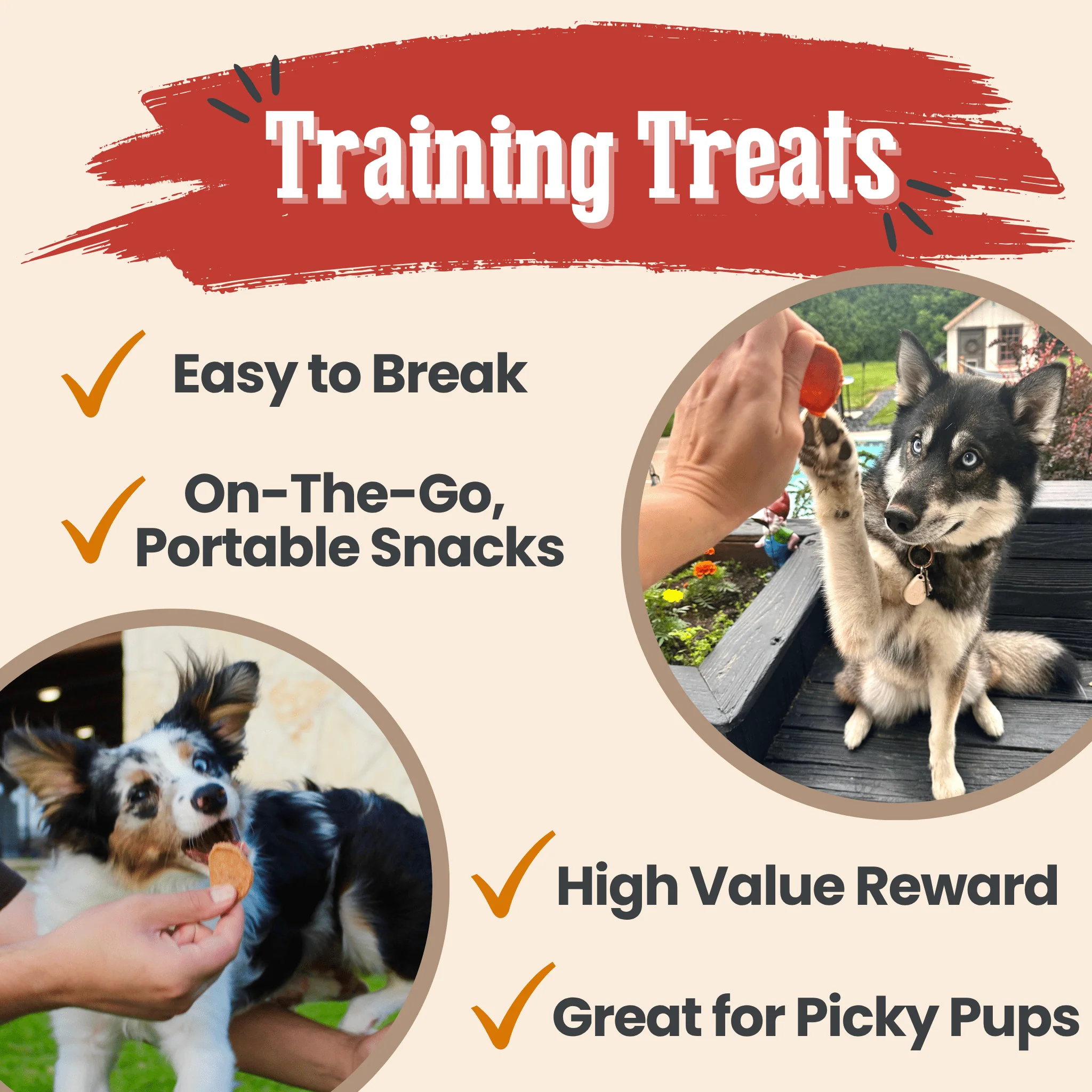 Turkey & Chicken Chip Dog Treat Duo | Single-Ingredient Poultry Treats for Dogs - Image 12