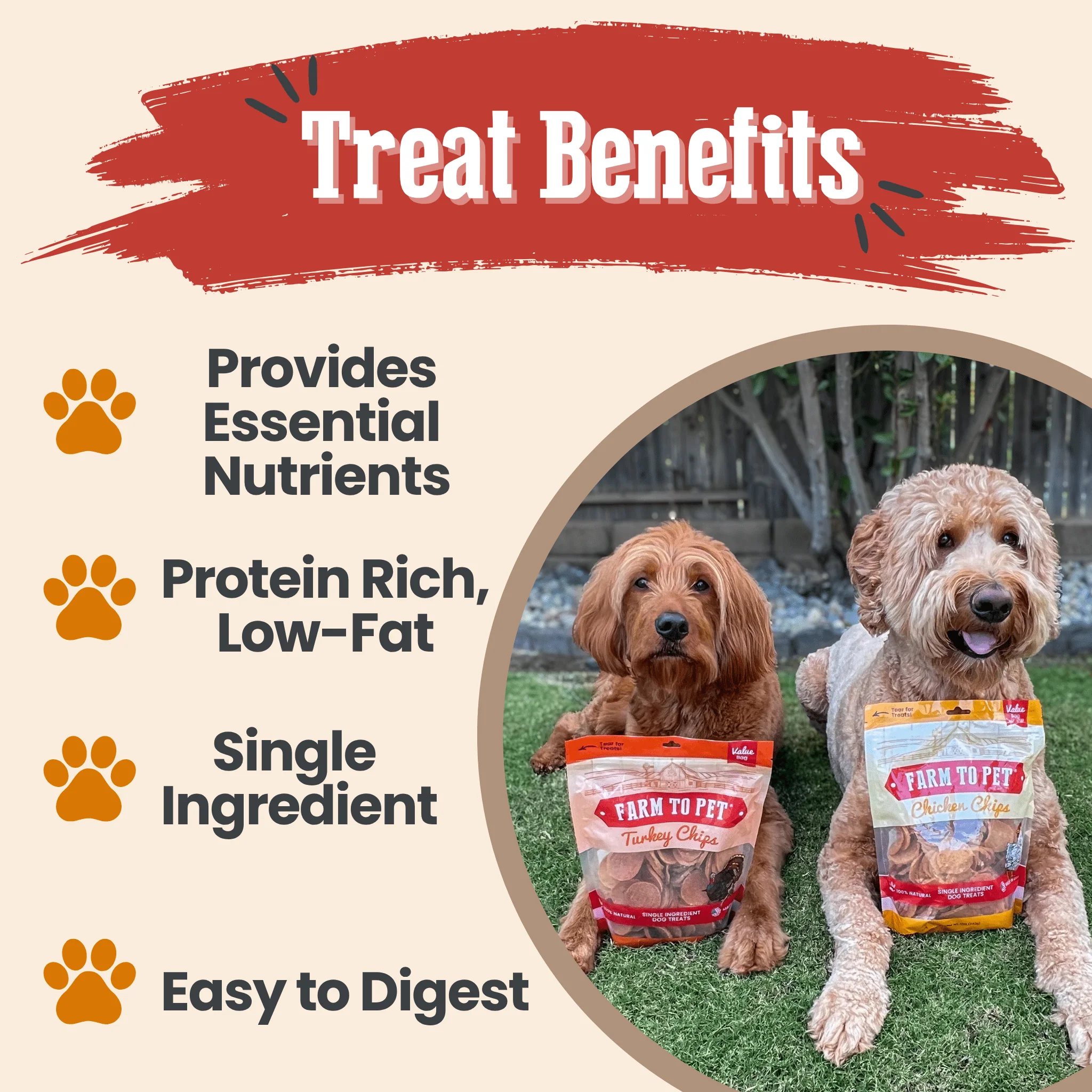 Turkey & Chicken Chip Dog Treat Duo | Single-Ingredient Poultry Treats for Dogs - Image 13