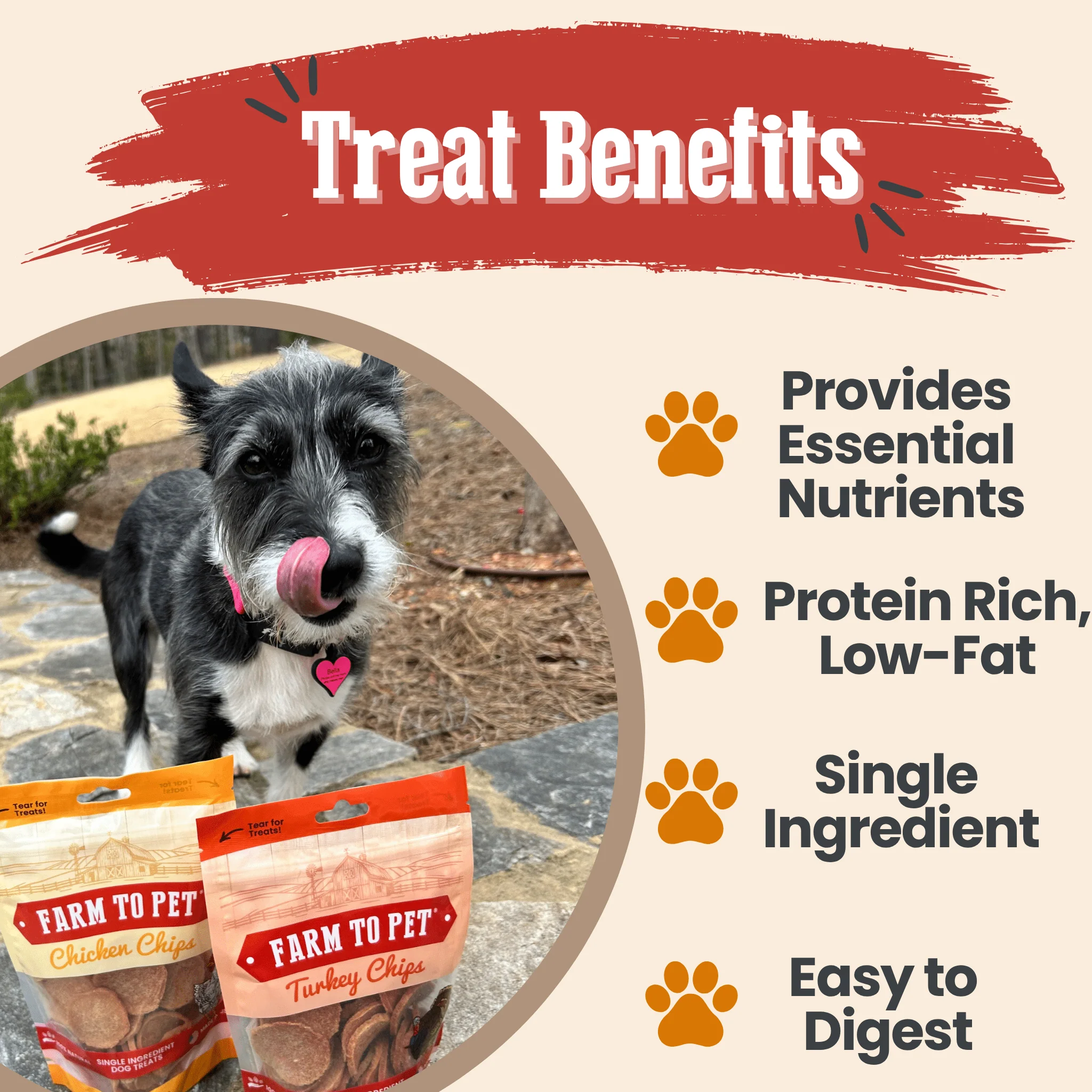 Turkey & Chicken Chip Dog Treat Duo | Single-Ingredient Poultry Treats for Dogs - Image 6