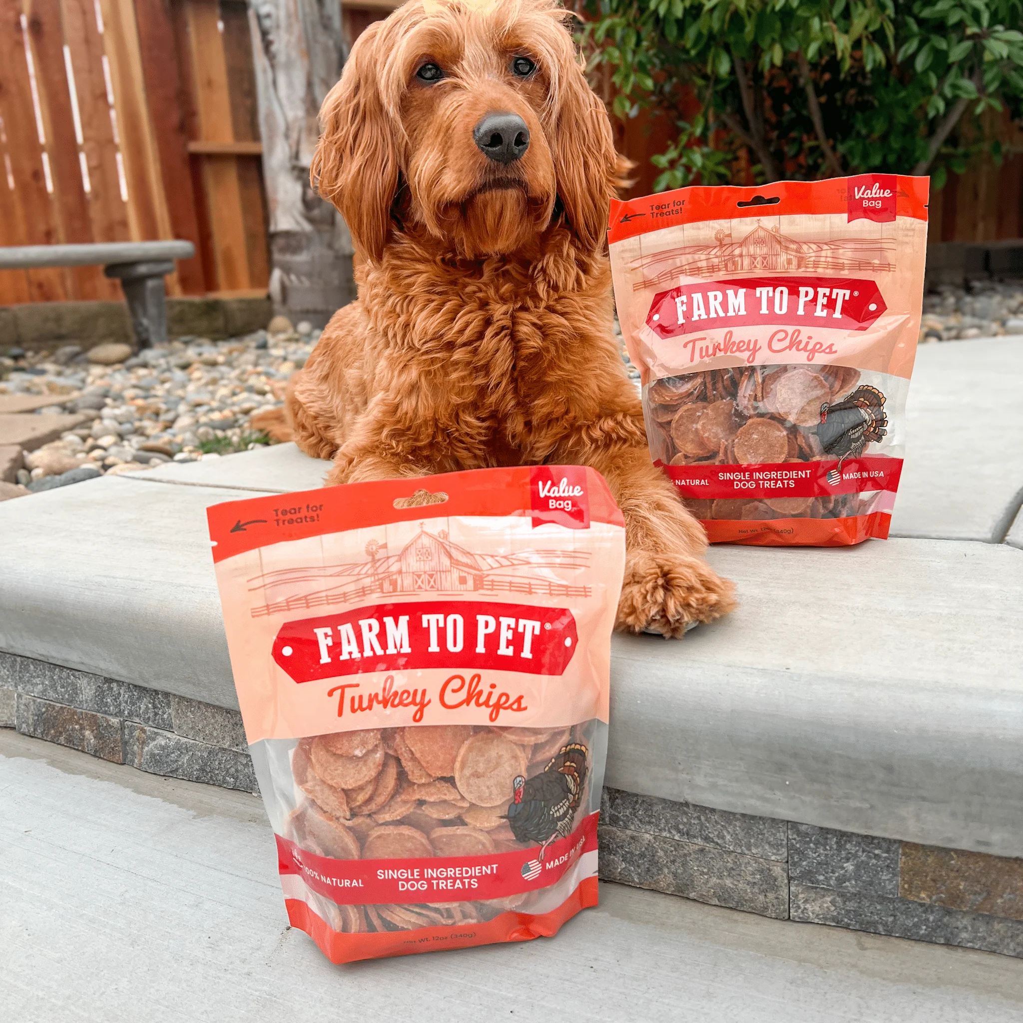 Turkey Chips for Dogs | All-Natural Single-Ingredient Healthy Dog Treats - Image 11