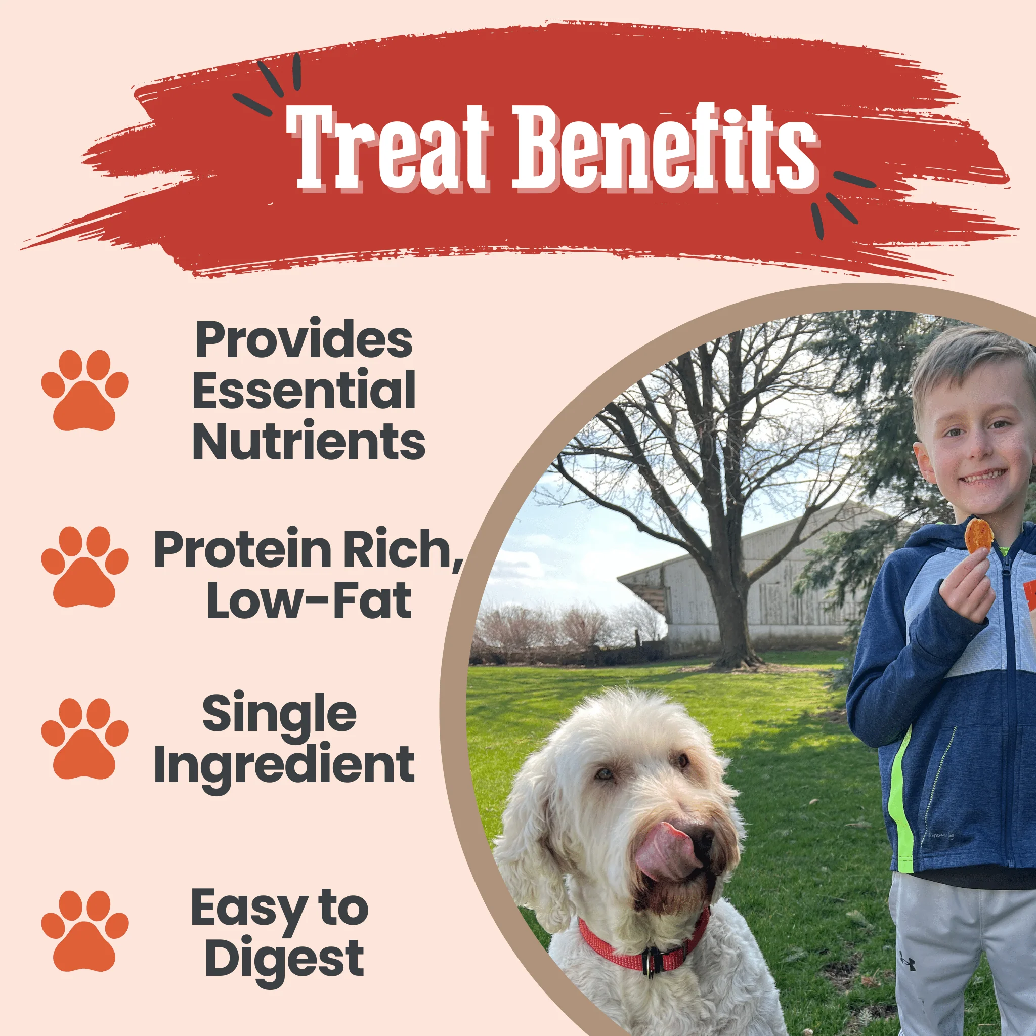 Turkey Chips for Dogs | All-Natural Single-Ingredient Healthy Dog Treats - Image 13