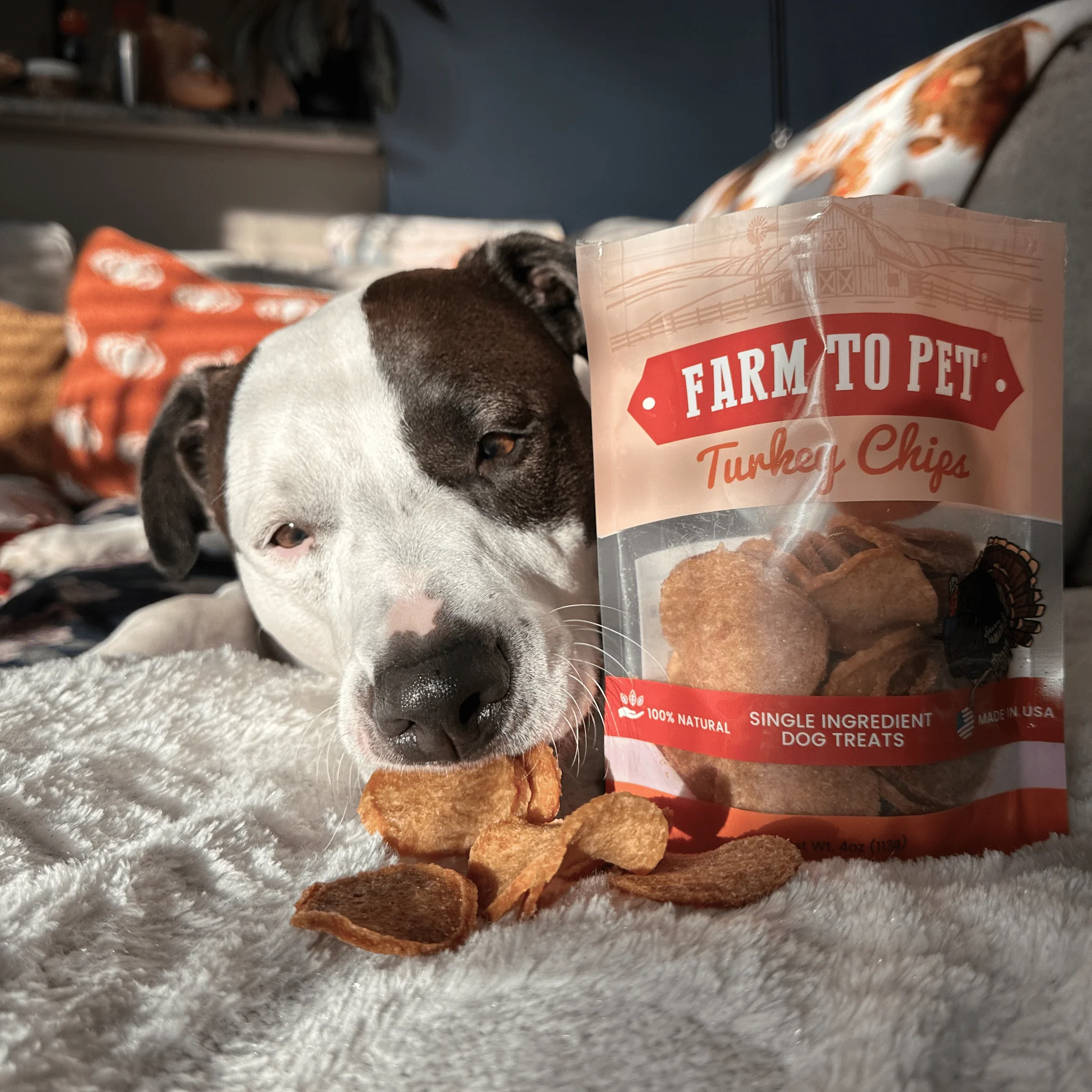 Turkey Chips for Dogs | All-Natural Single-Ingredient Healthy Dog Treats - Image 3