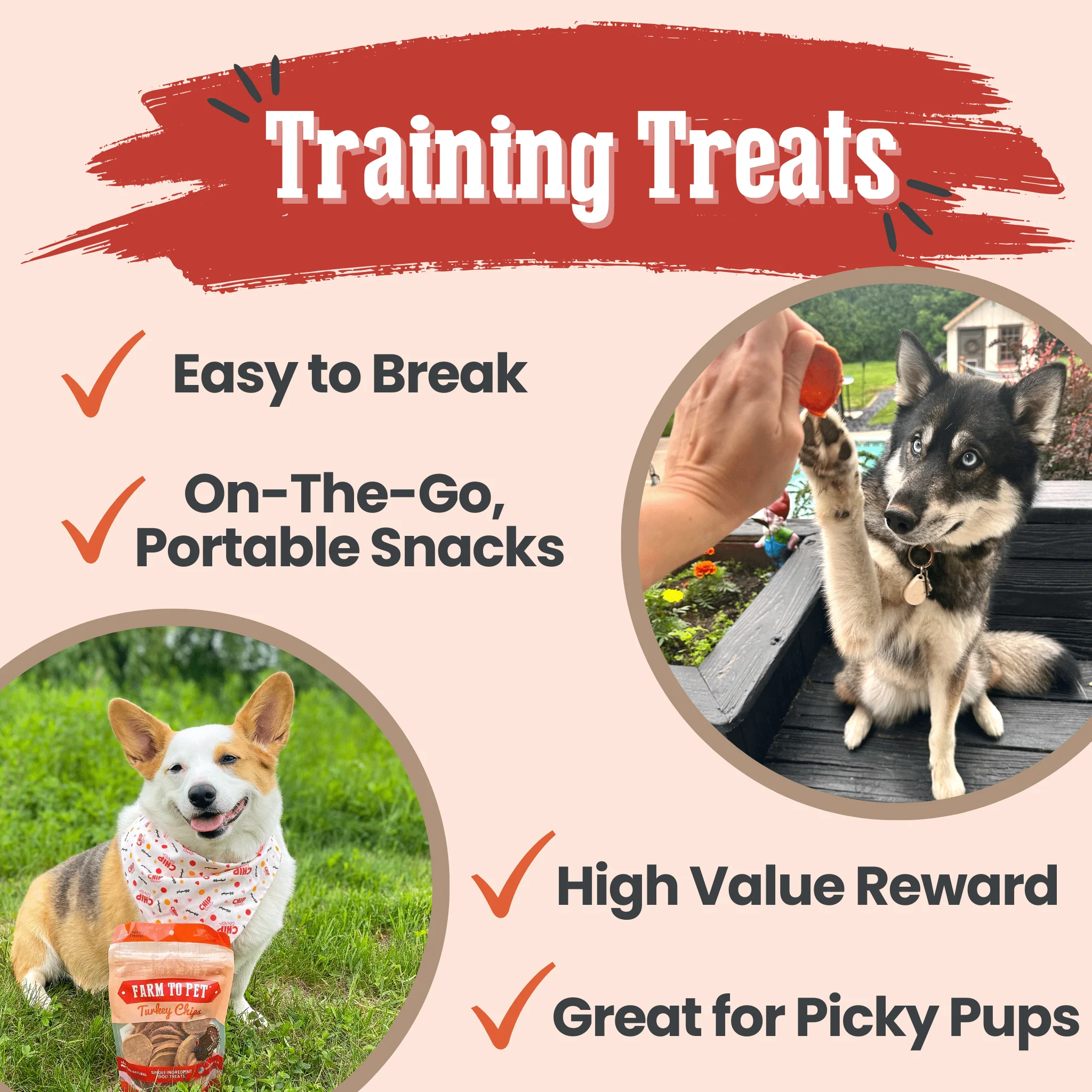 Turkey Chips for Dogs | All-Natural Single-Ingredient Healthy Dog Treats - Image 5