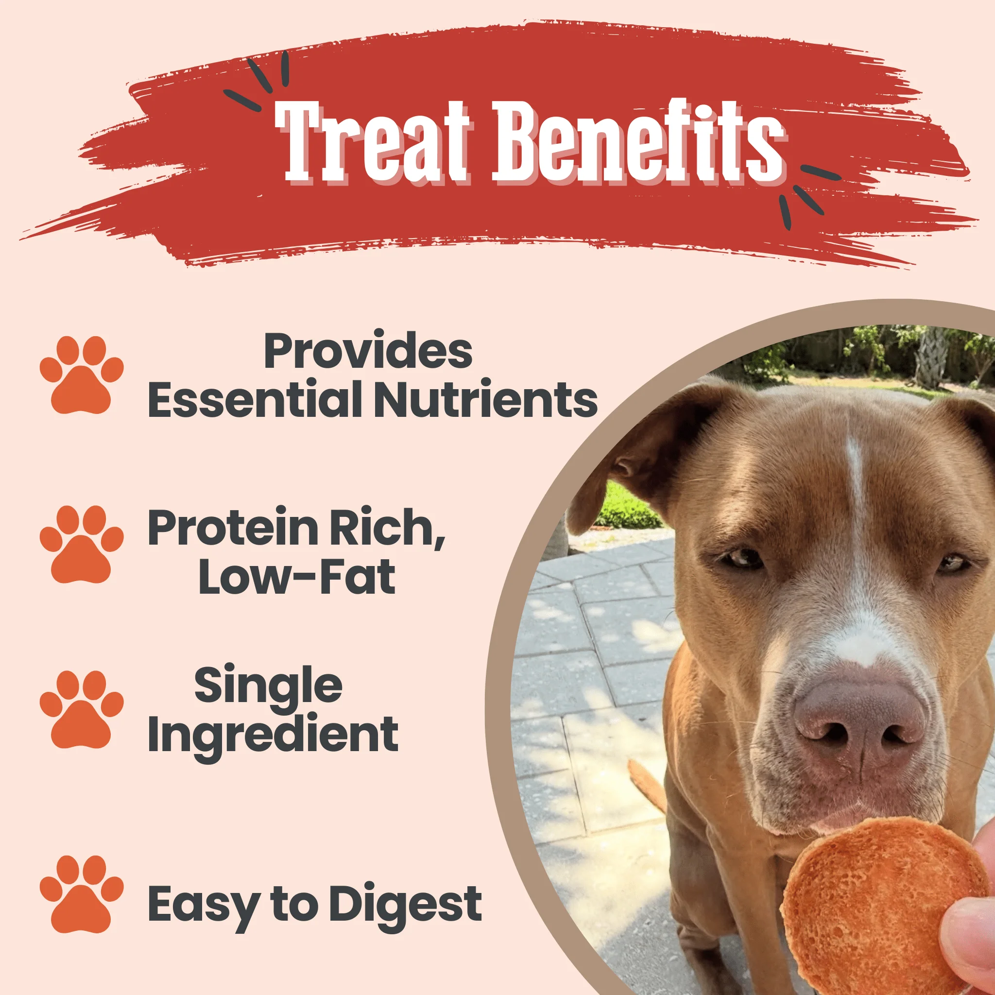 Turkey Chips for Dogs | All-Natural Single-Ingredient Healthy Dog Treats - Image 6