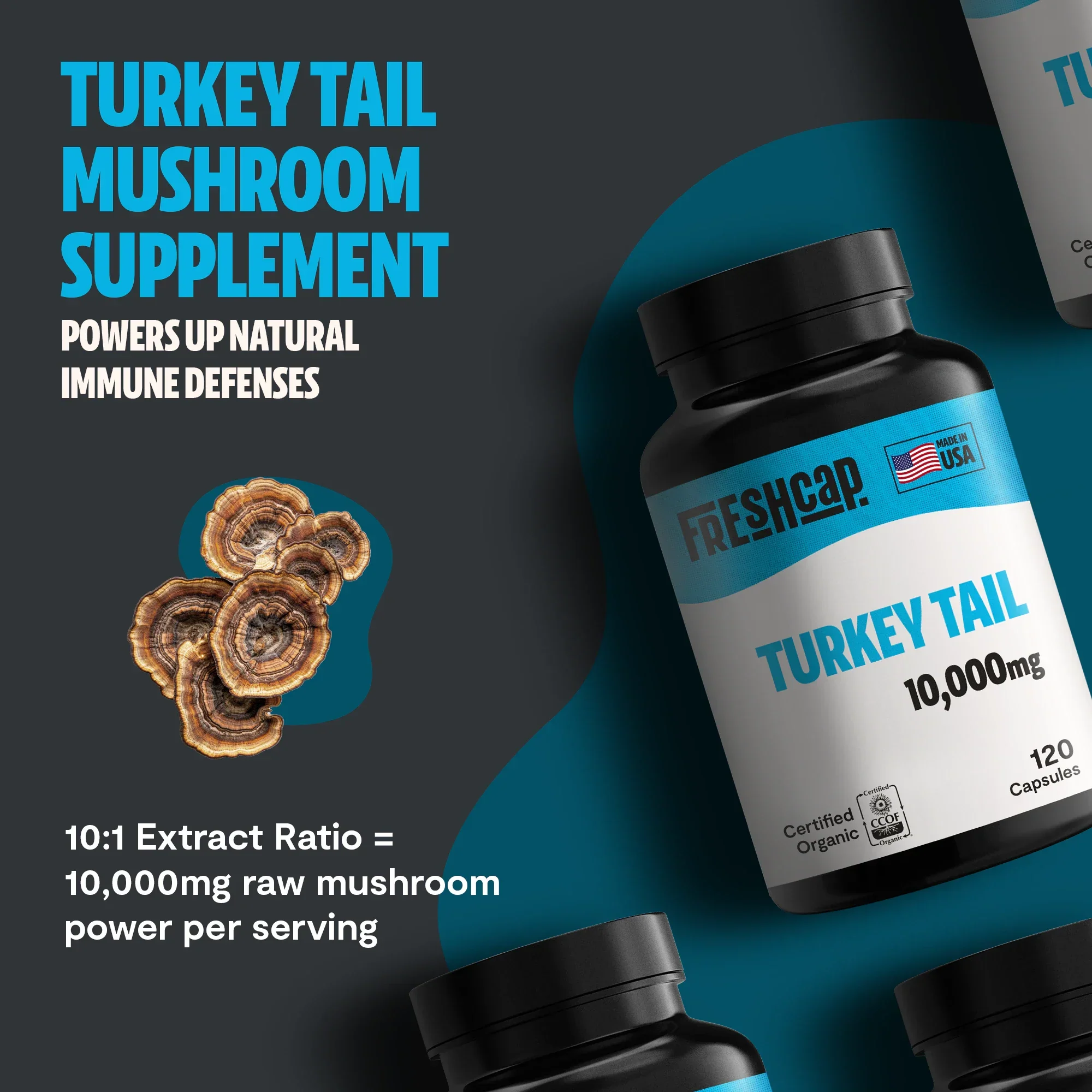Organic Turkey Tail Mushroom Capsules - Image 10
