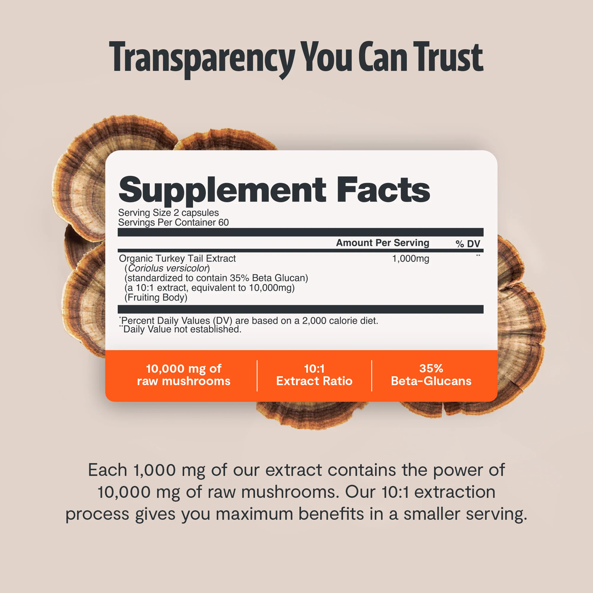 Organic Turkey Tail Mushroom Capsules - Image 19
