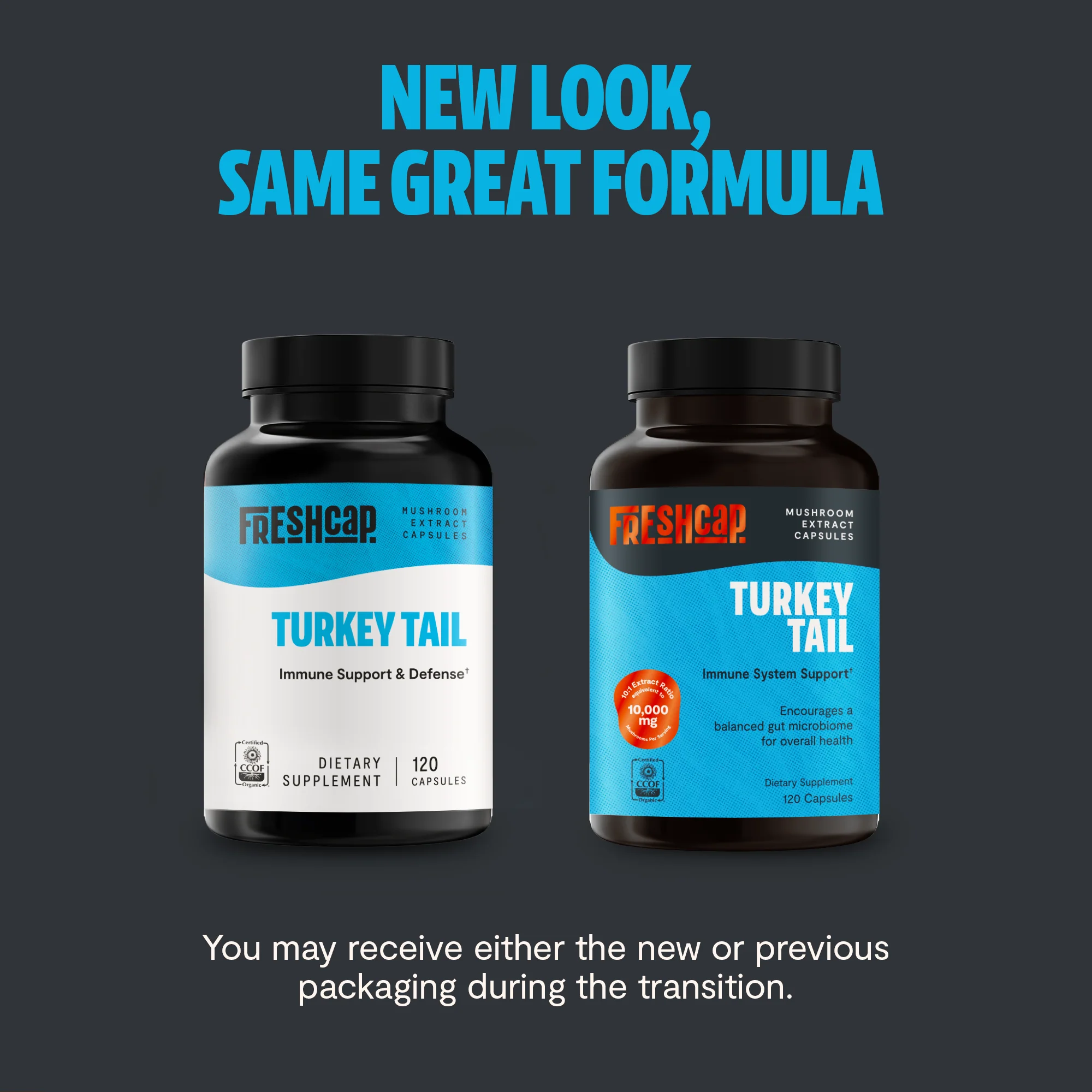 Organic Turkey Tail Mushroom Capsules - Image 2