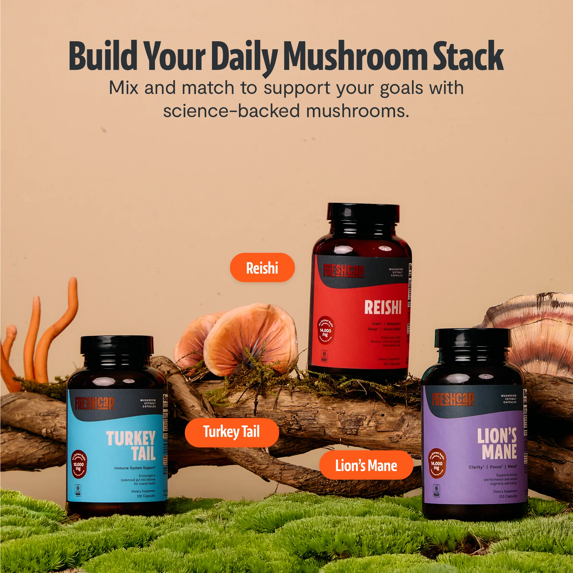 Organic Turkey Tail Mushroom Capsules - Image 23