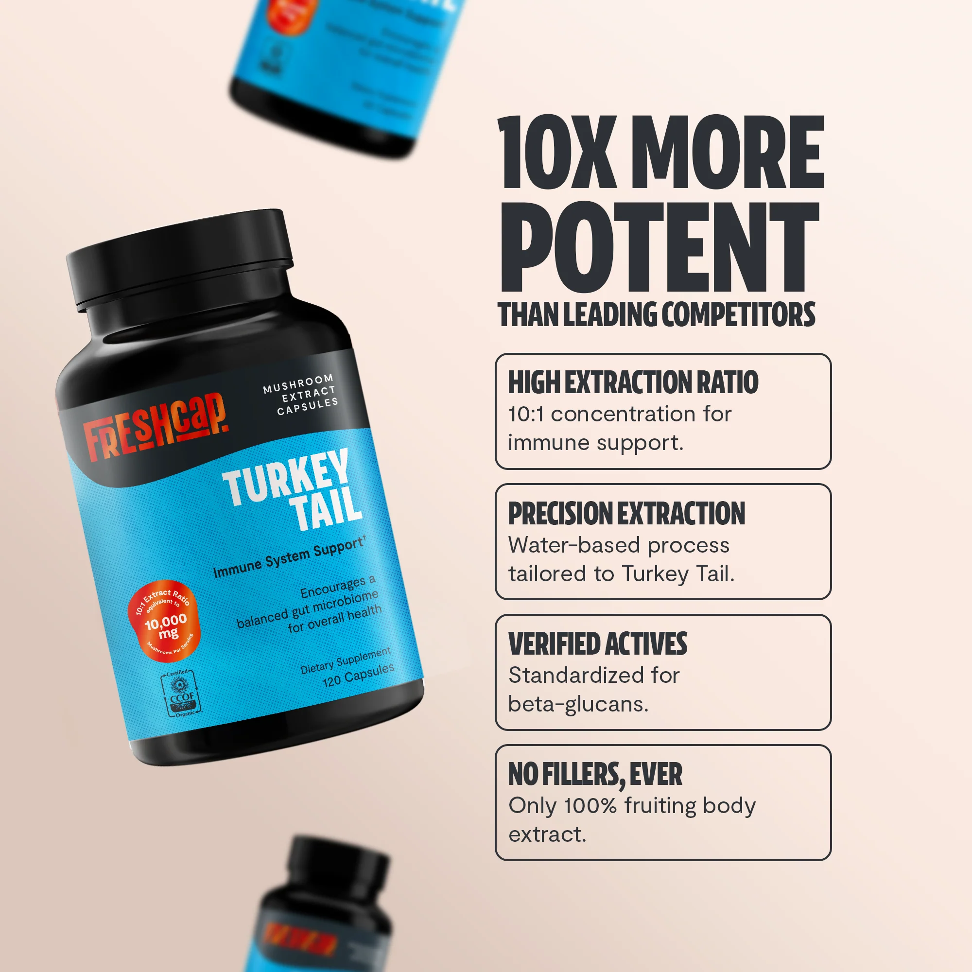 Organic Turkey Tail Mushroom Capsules - Image 3