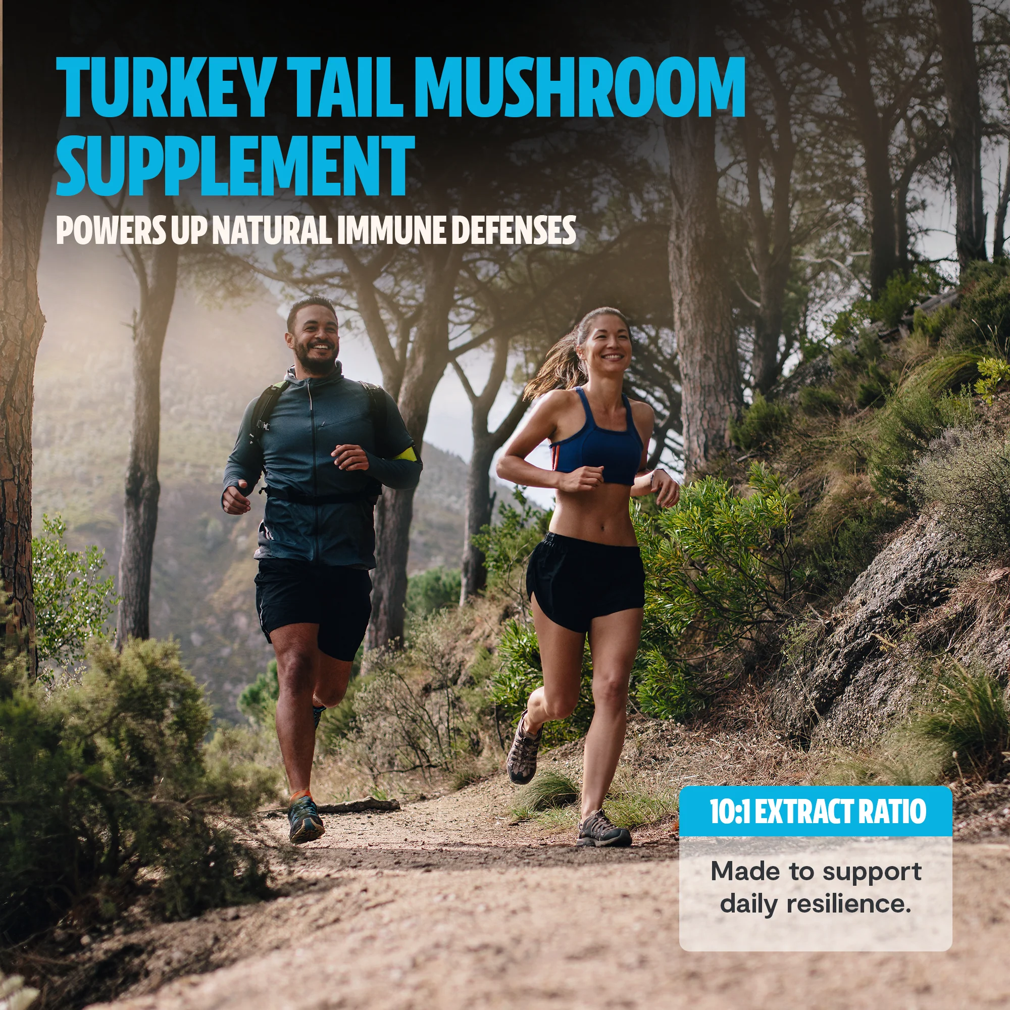 Organic Turkey Tail Mushroom Capsules - Image 7