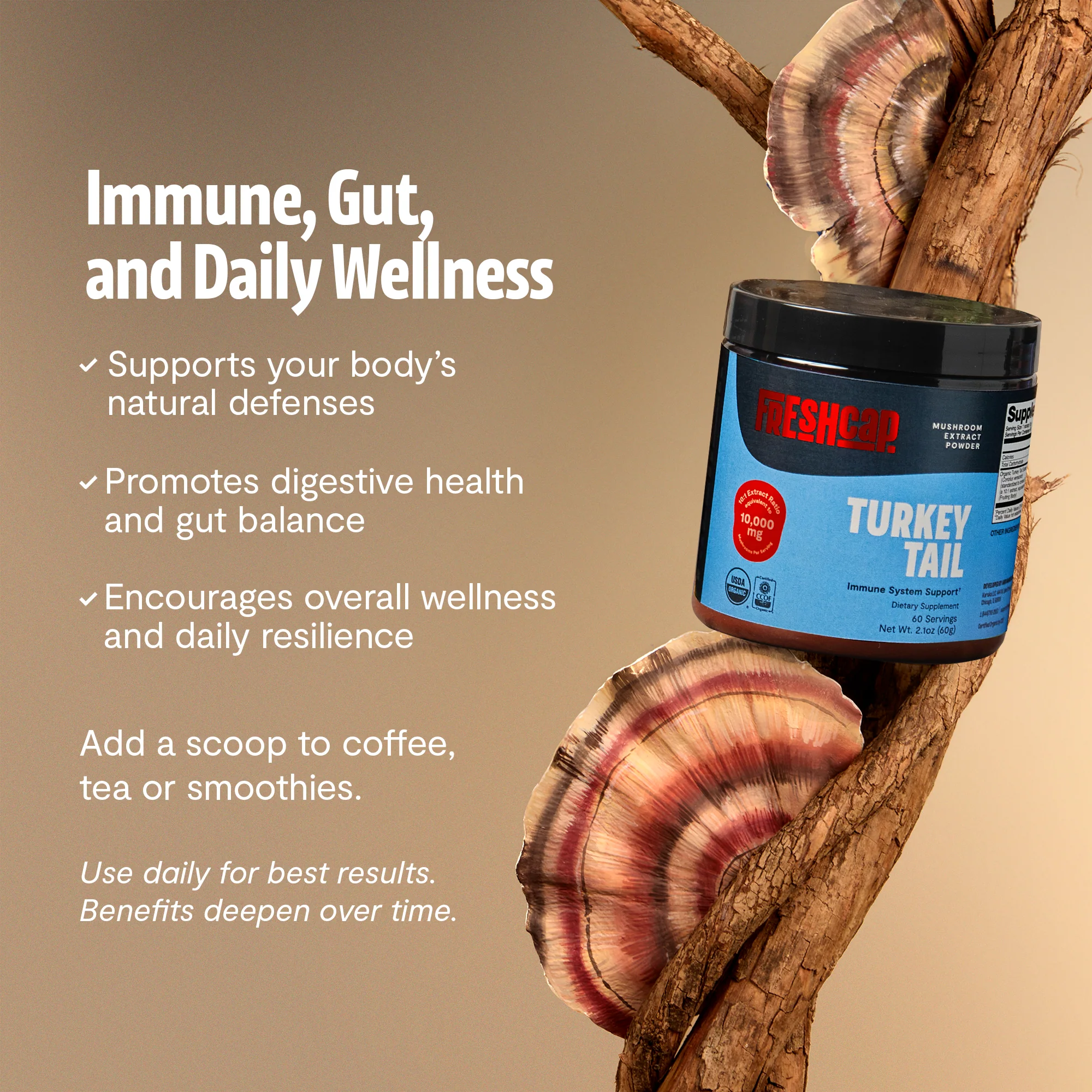 Organic Turkey Tail Mushroom Powder - Image 21