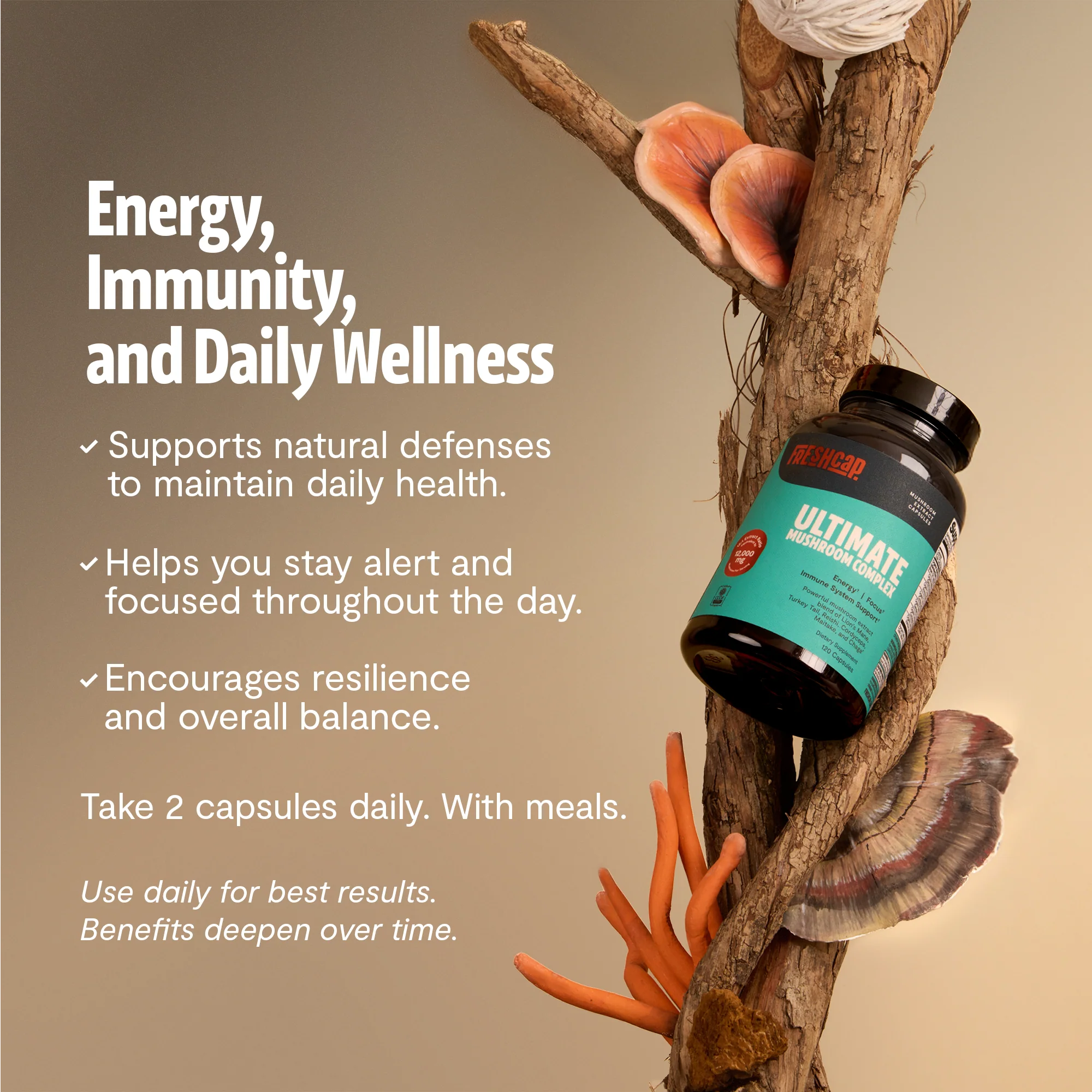 Organic Mushroom Complex Supplement Capsules - Image 50