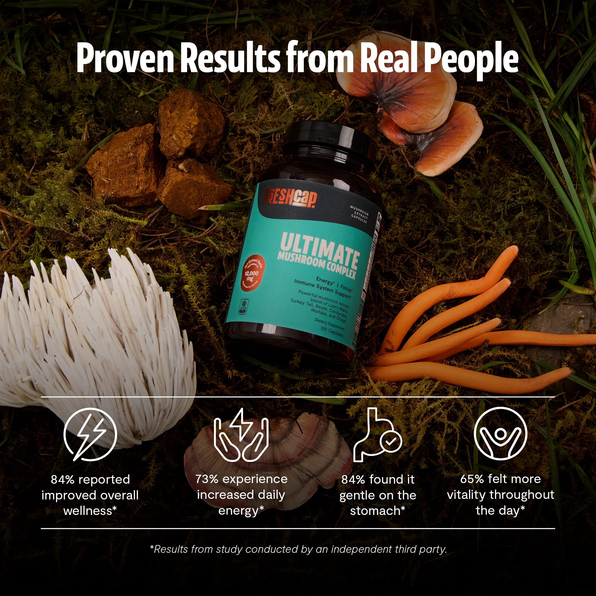 Organic Mushroom Complex Supplement Capsules - Image 51