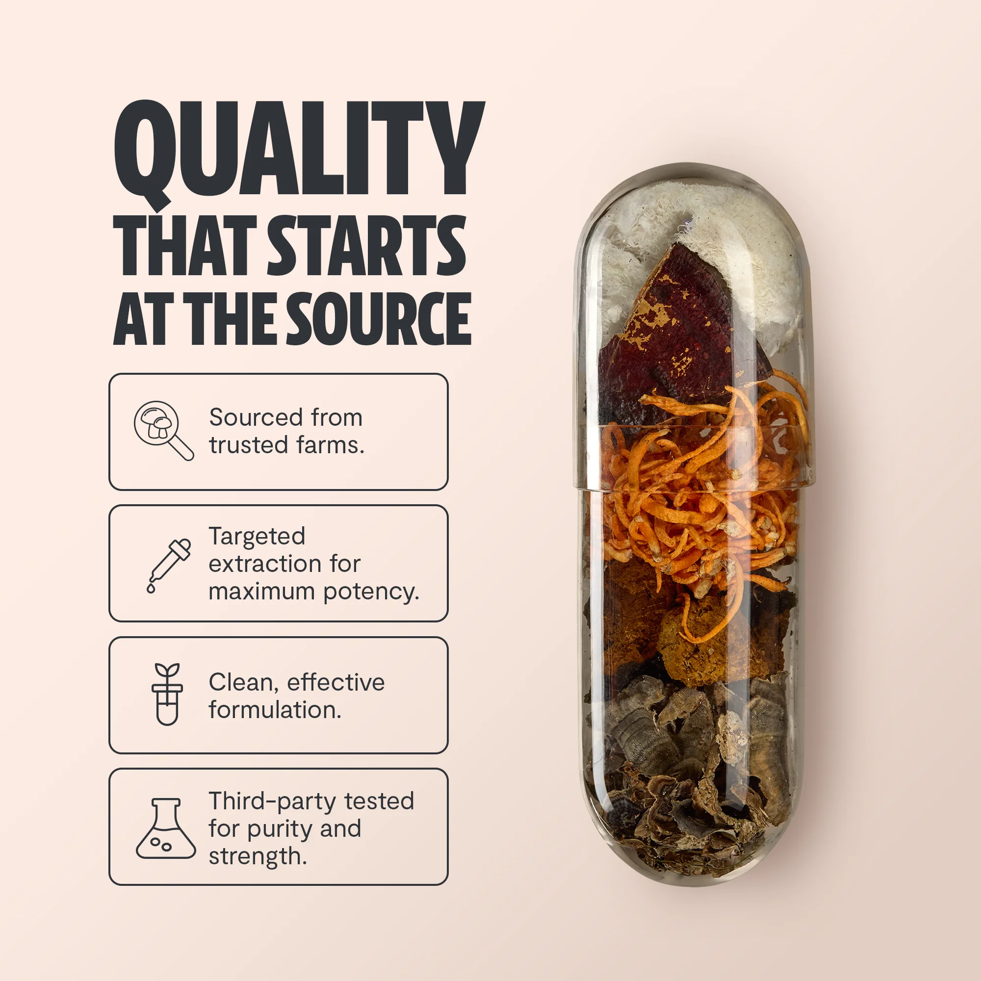 Organic Mushroom Complex Supplement Capsules - Image 6