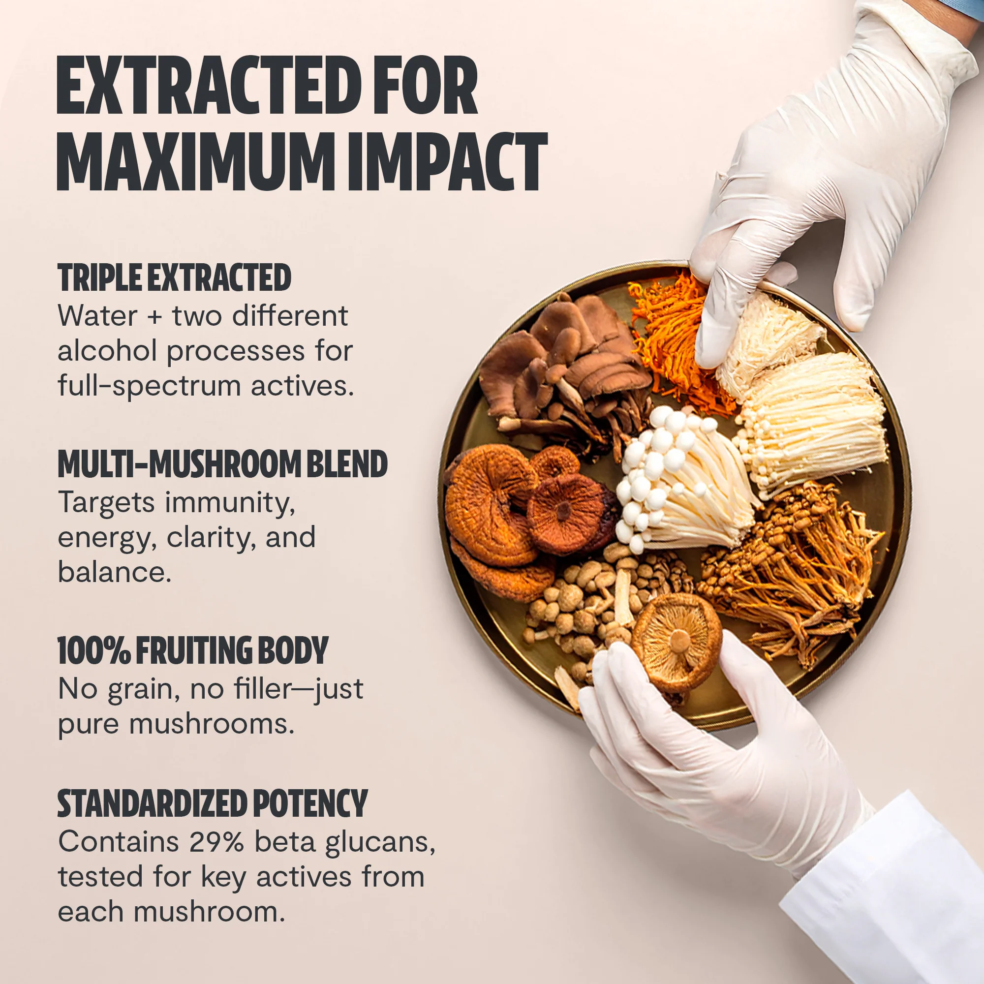 Organic Mushroom Extract Powder Blend - Image 5